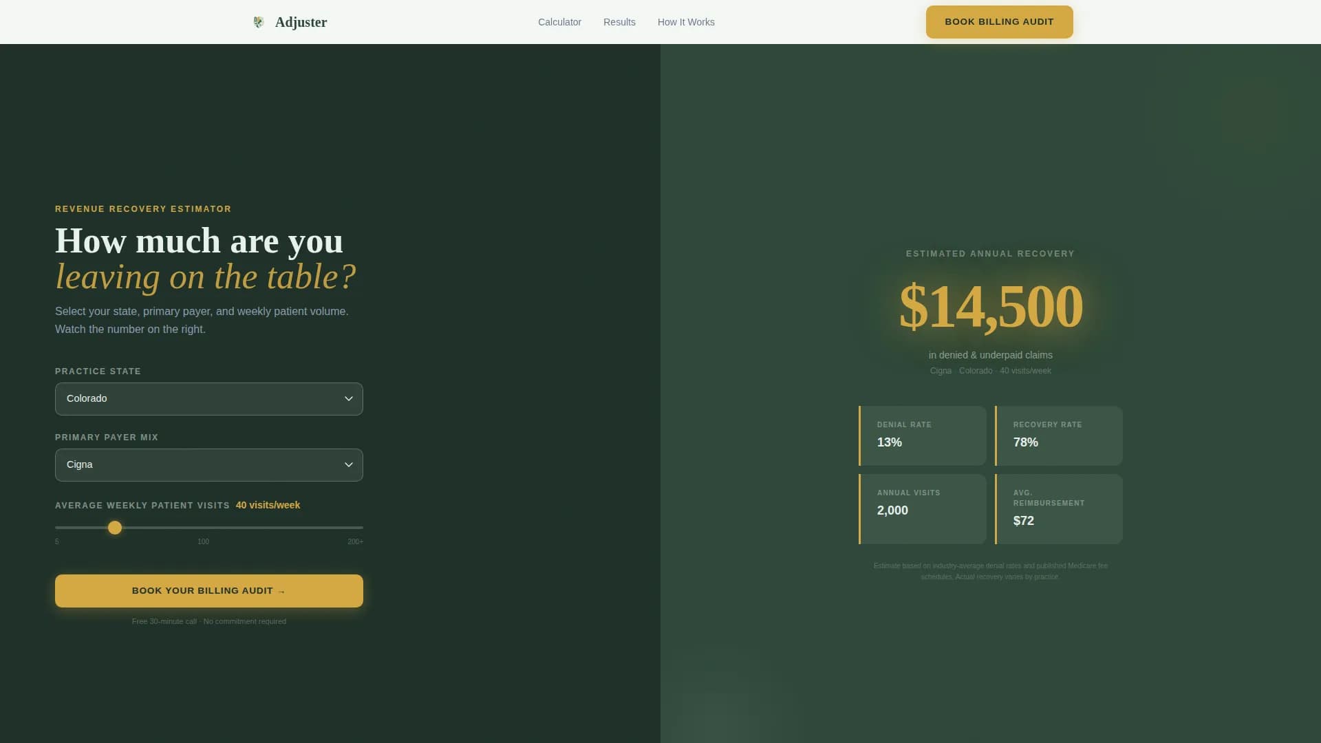 Chiropractic Insurance Billing & Revenue Recovery Website Template