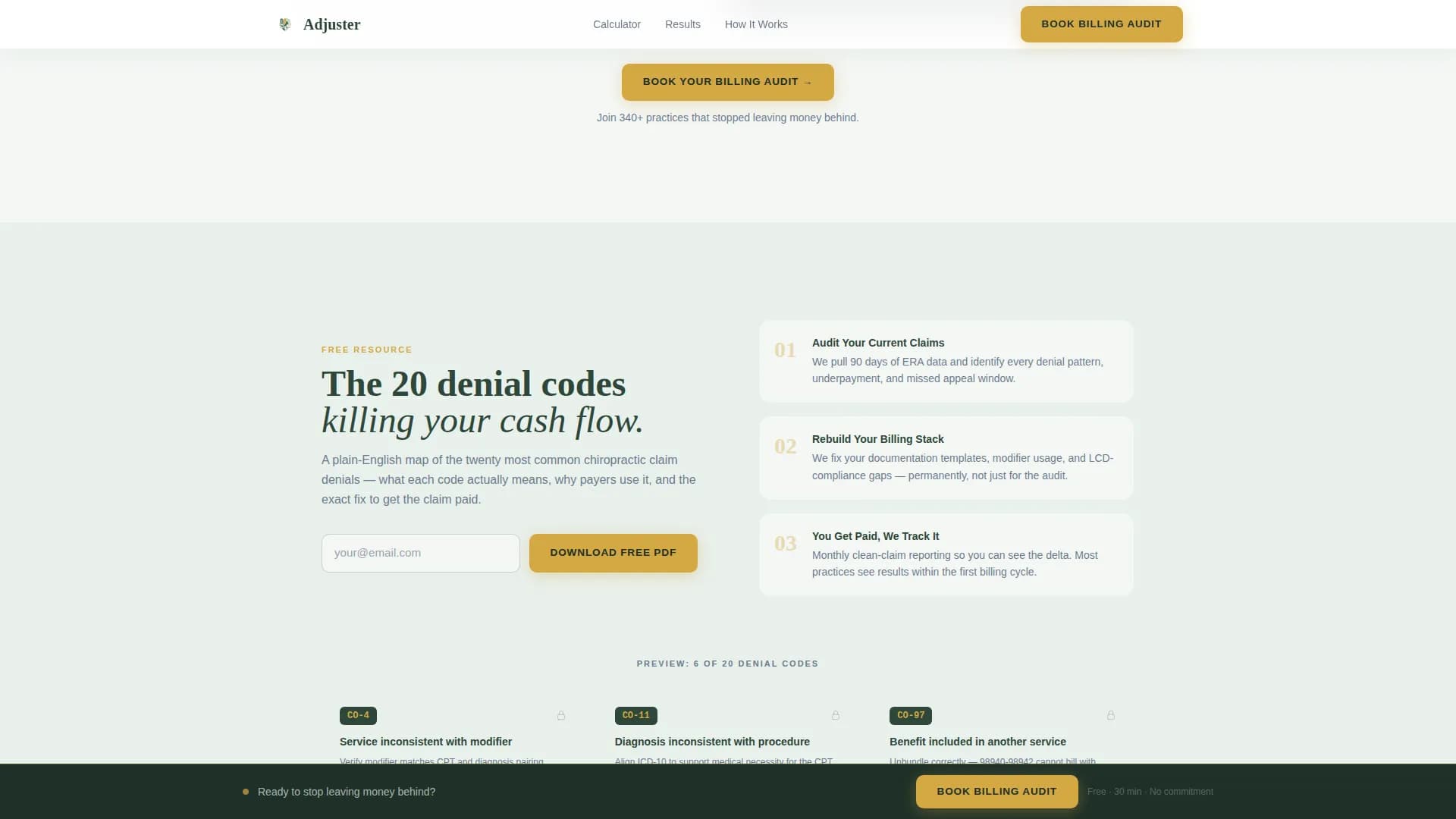 Chiropractic Insurance Billing & Revenue Recovery Website Template