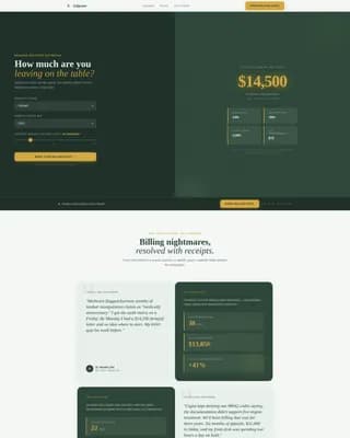 Chiropractic Insurance Billing & Revenue Recovery Website Template