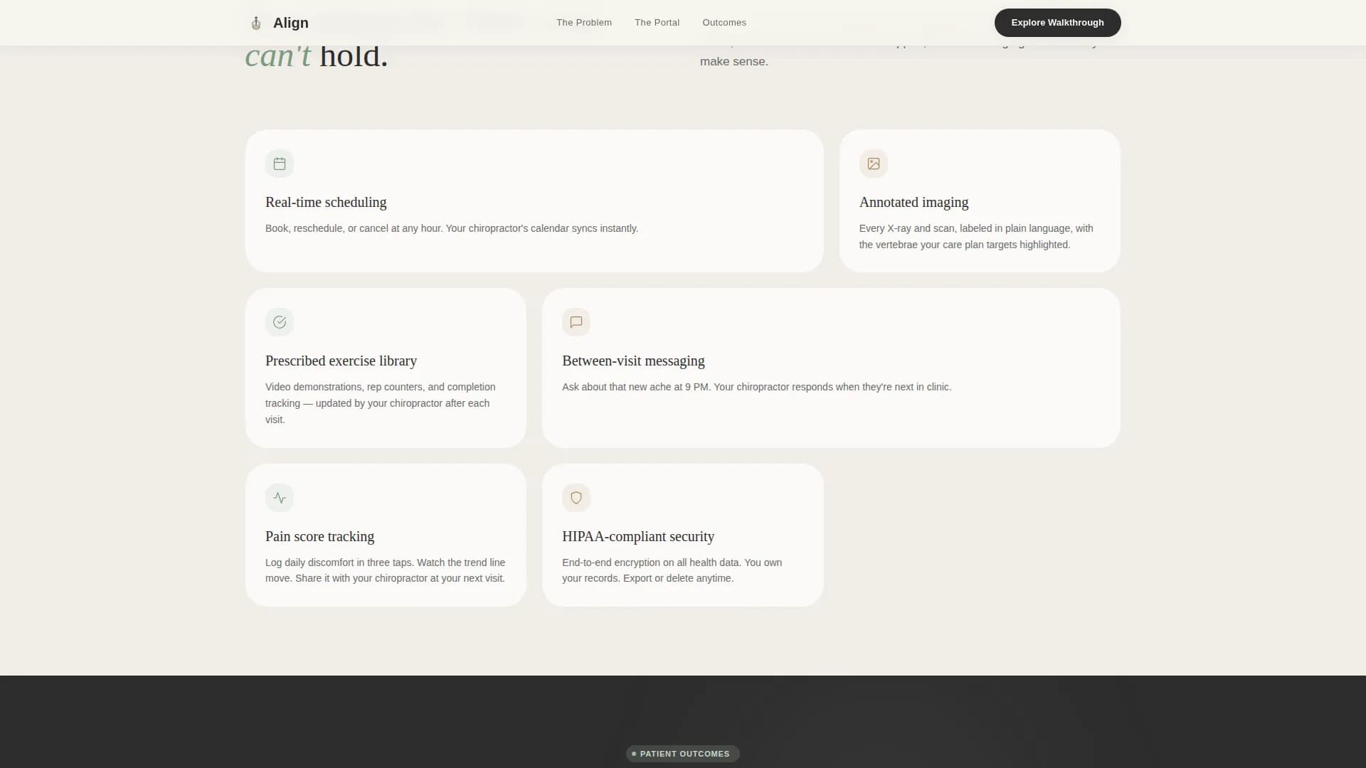 Chiropractic Patient Portal Landing Page Template