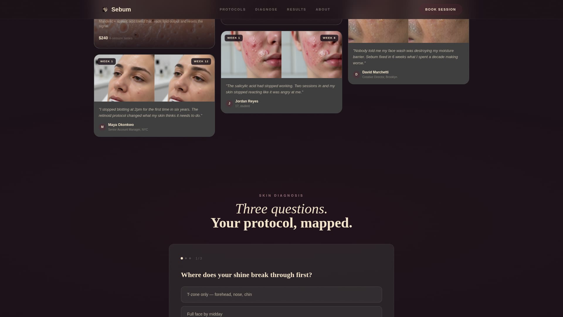 Oily Skin Beauty Booking Website Template