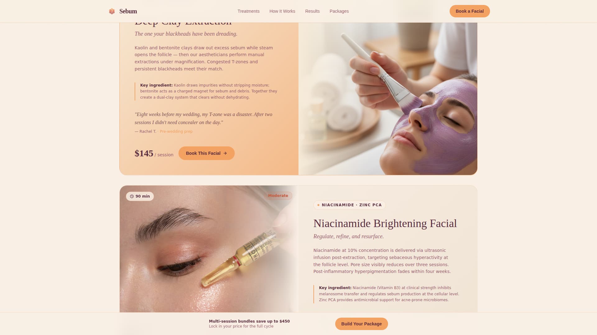 Oily Skin Beauty Specialist Booking Website Template
