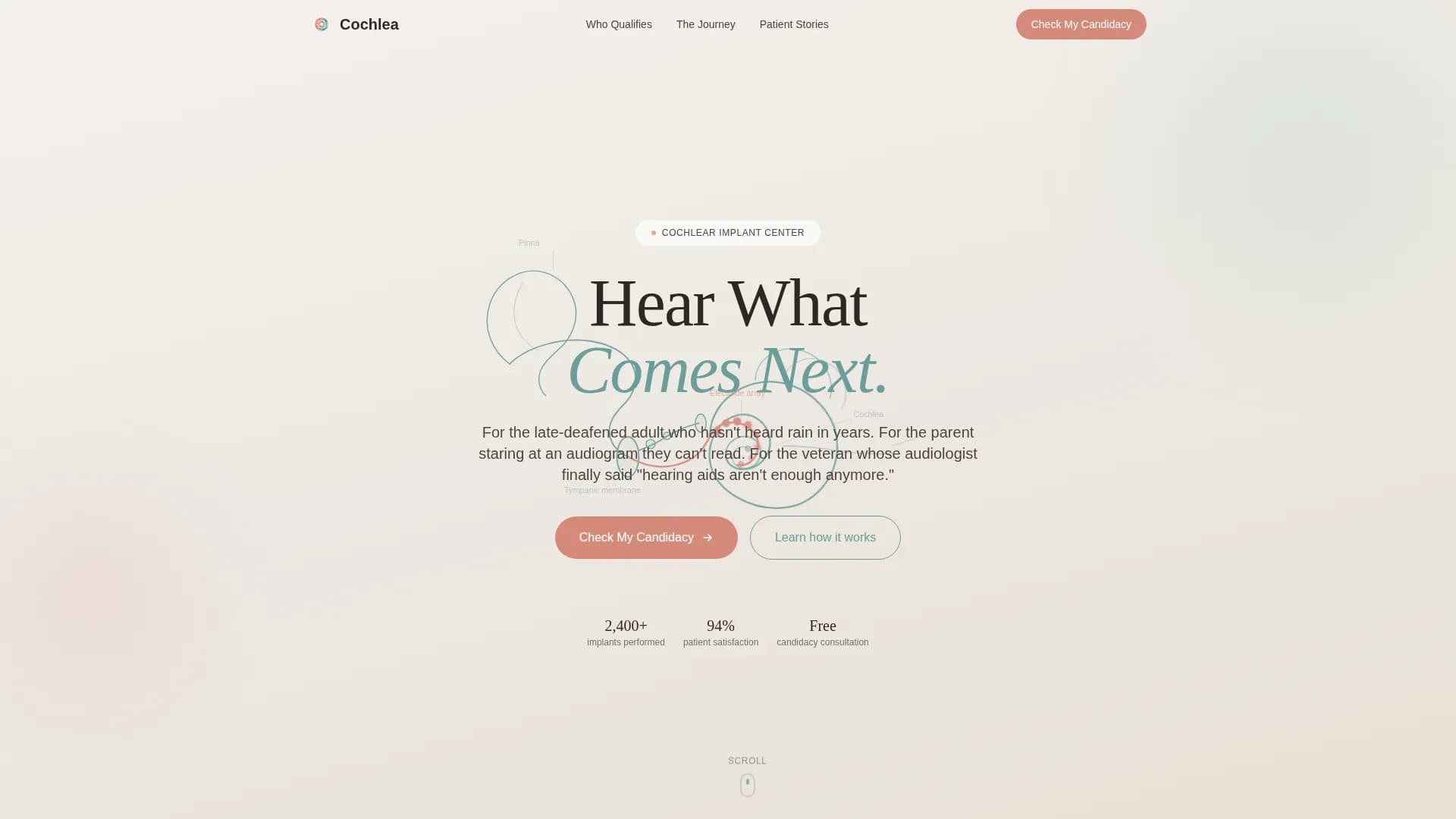 Hearing & Audiology Reviews Website Template