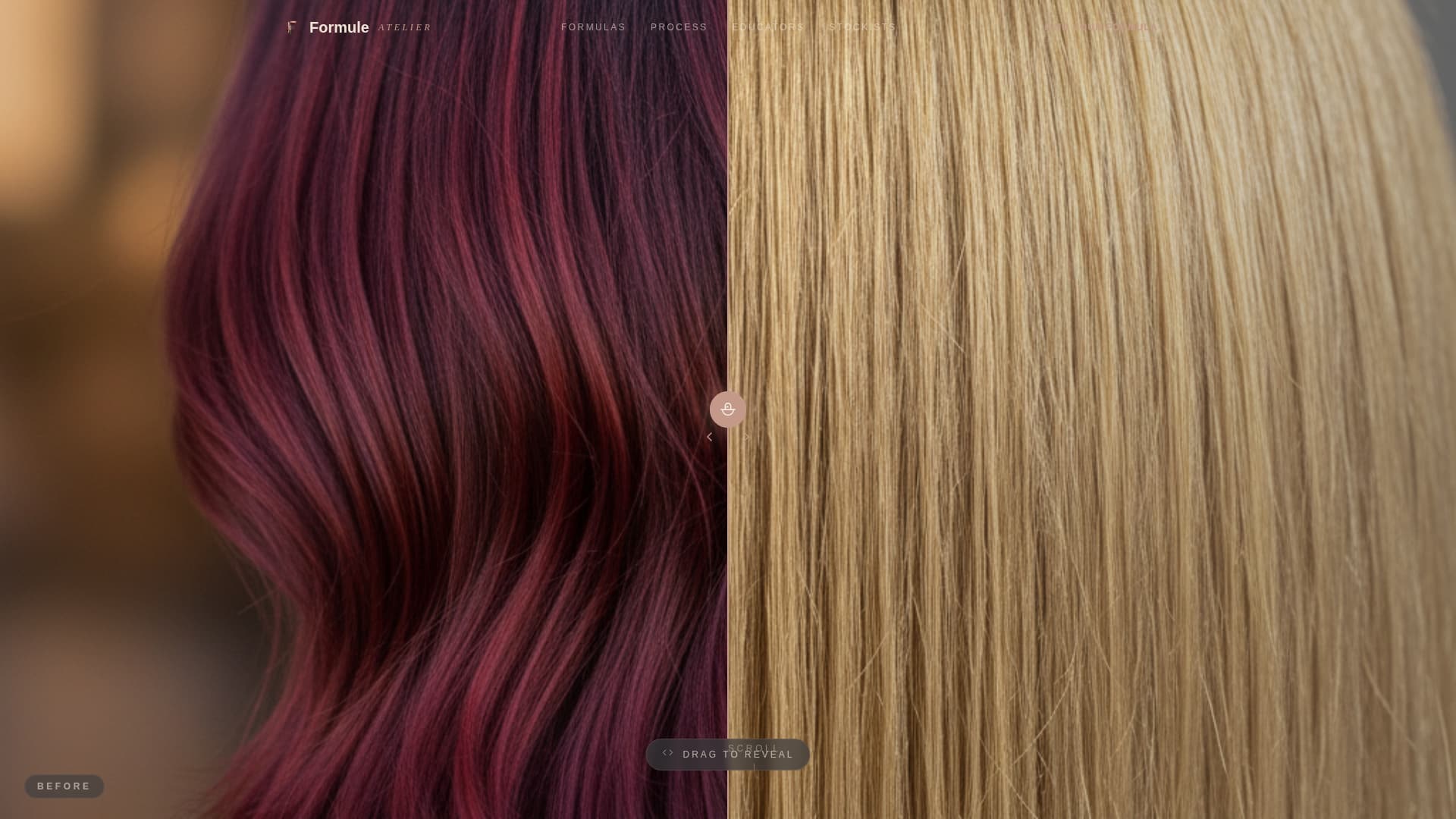 Hair Care Brand & Product Professional Website Template