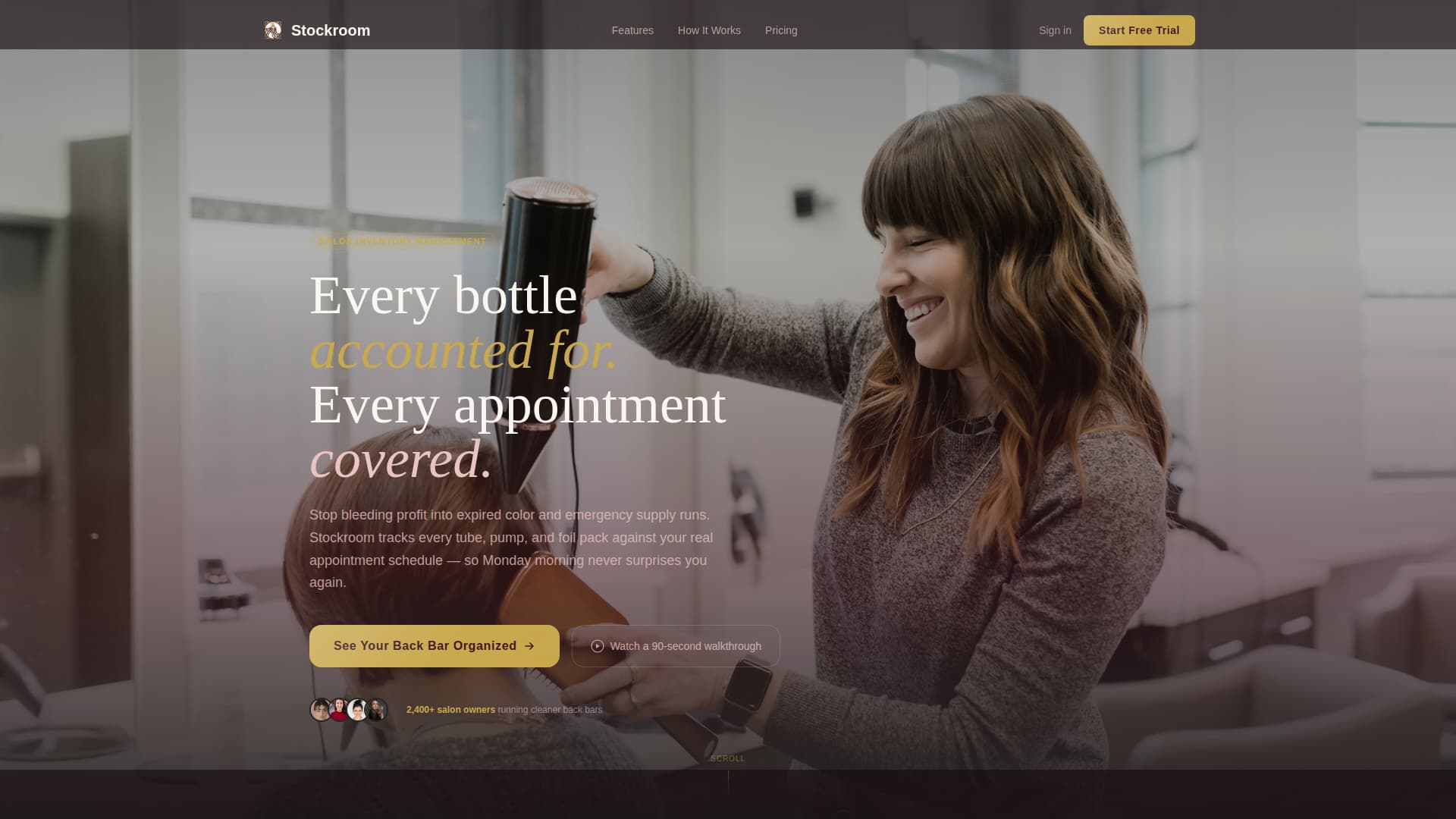 Salon & Spa Software Professional Website Template
