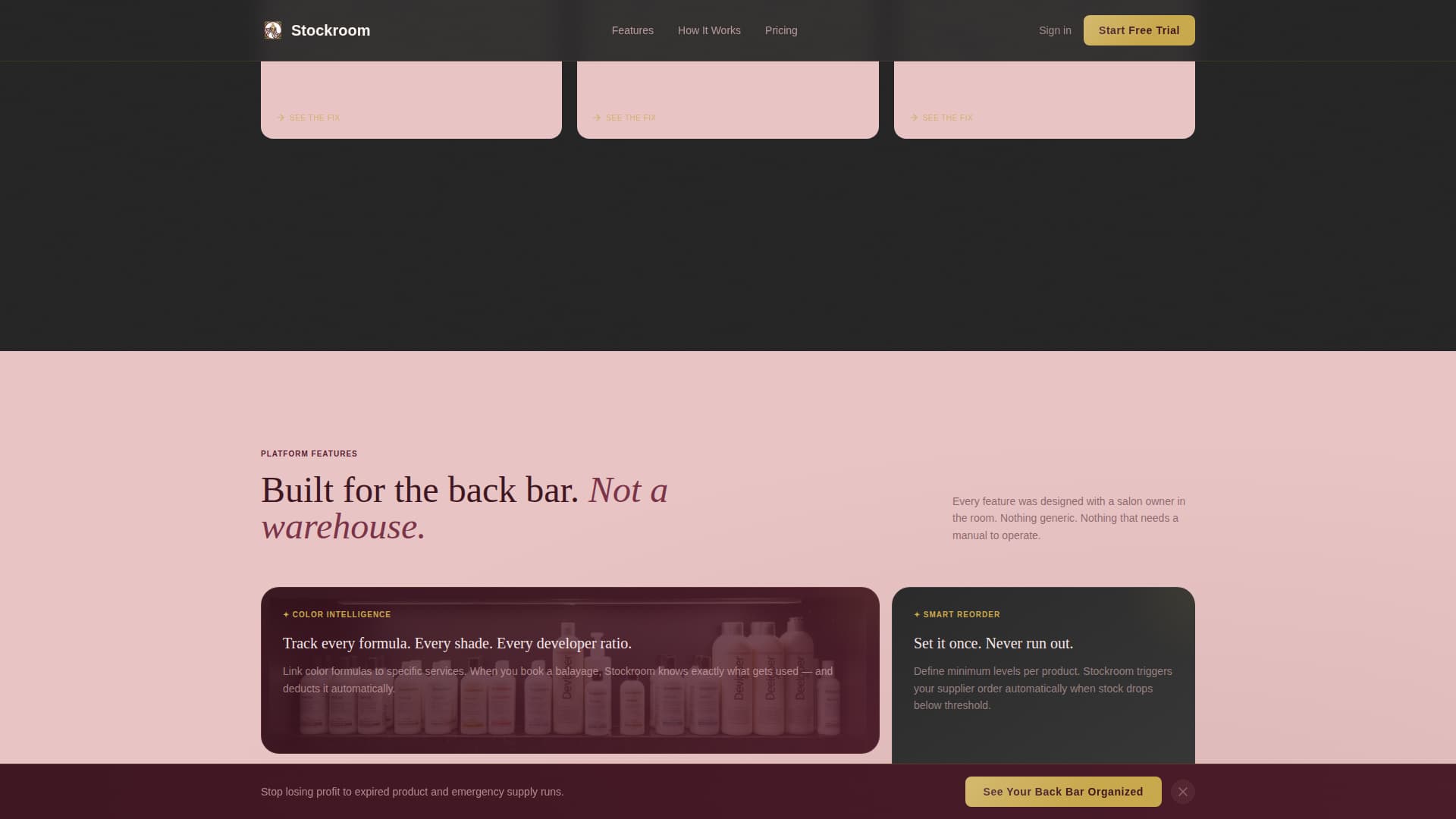 Salon & Spa Software Professional Website Template