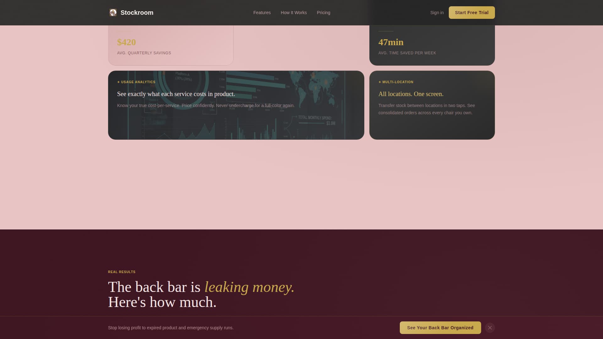 Salon & Spa Software Professional Website Template