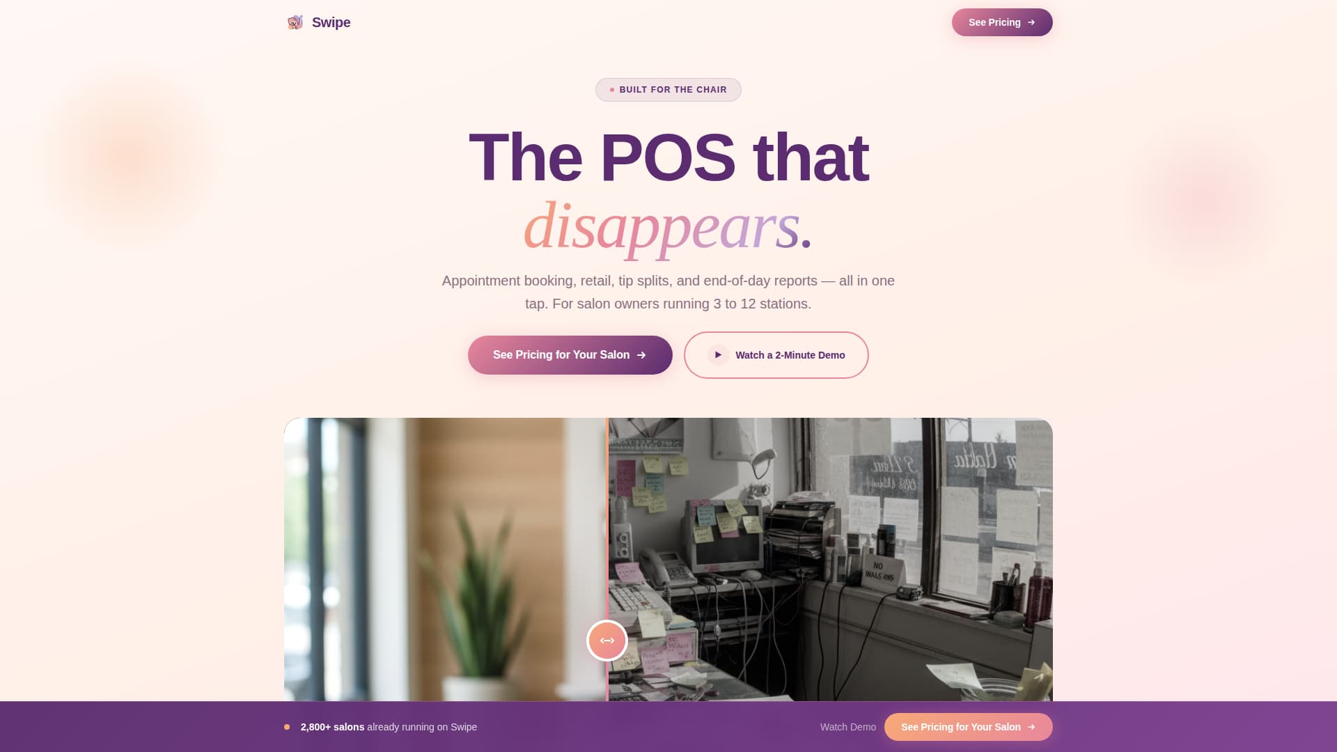 Salon & Spa Software Specialist Professional Website Template