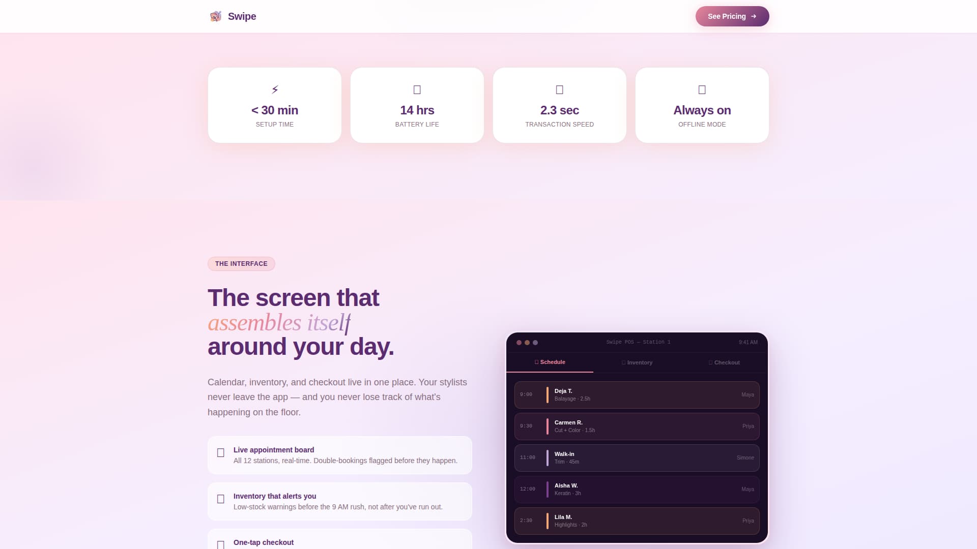 Salon & Spa Software Specialist Professional Website Template