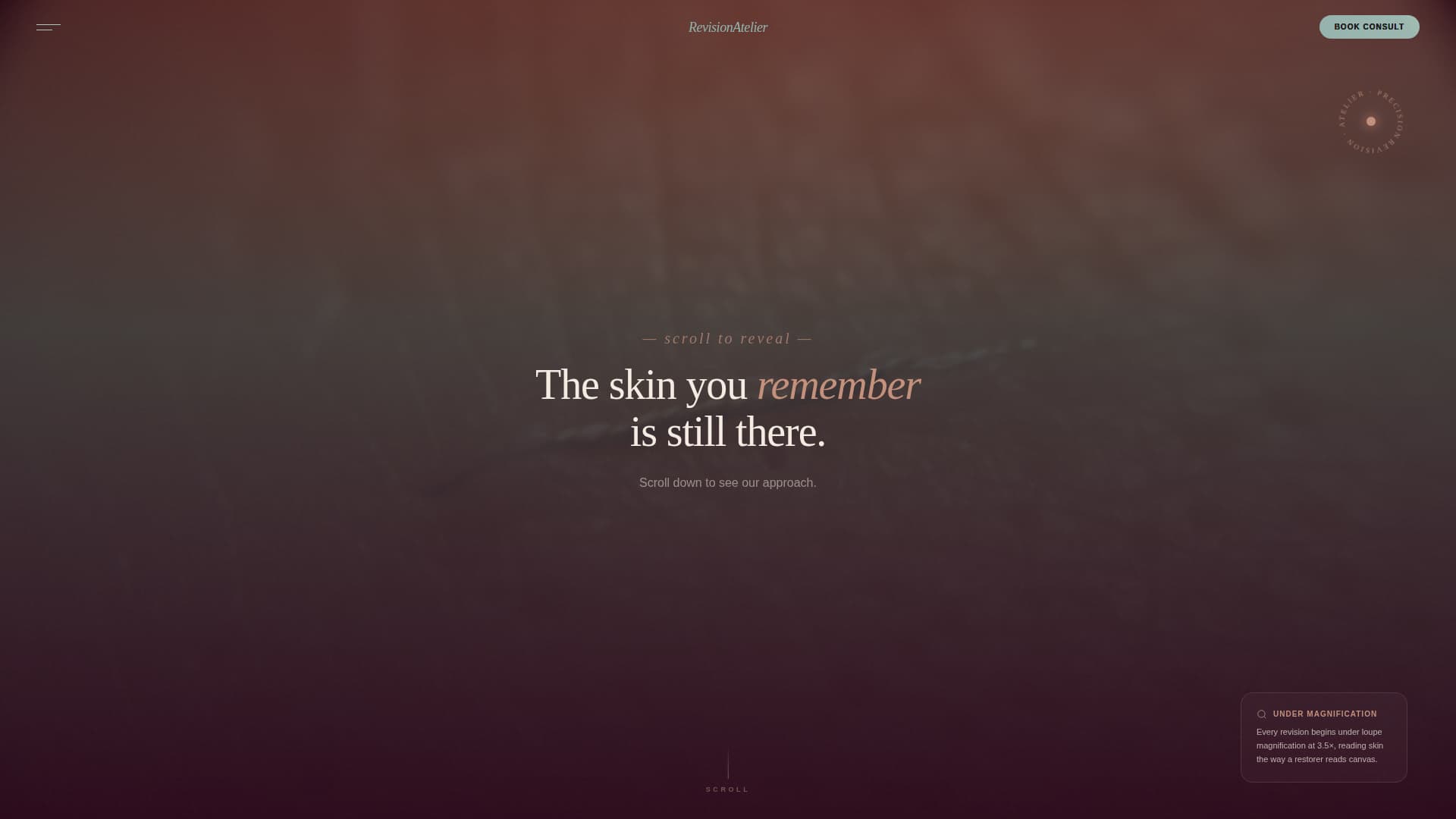 Cosmetic Surgery & Aesthetic Clinic Professional Website Template