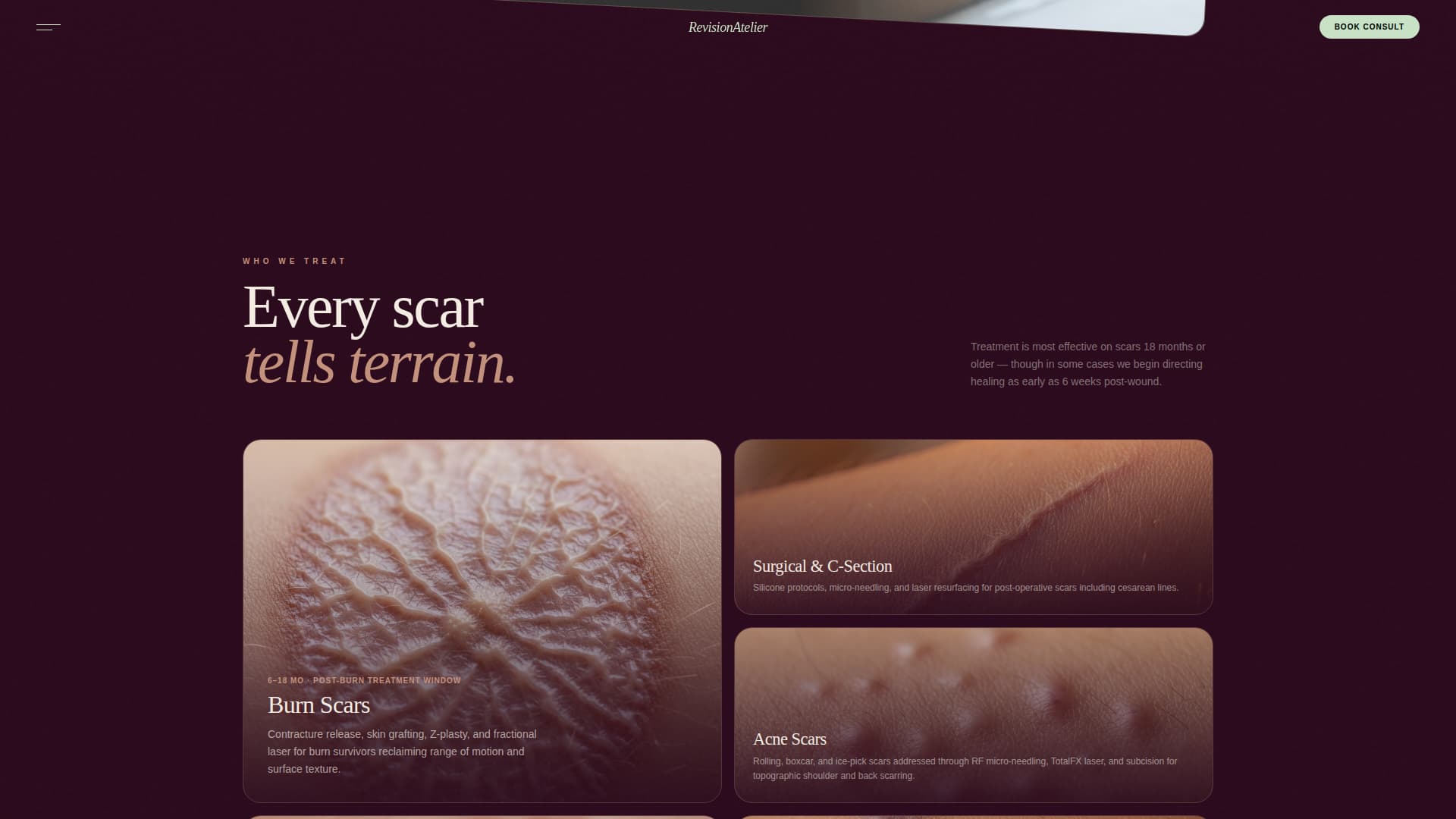Cosmetic Surgery & Aesthetic Clinic Professional Website Template