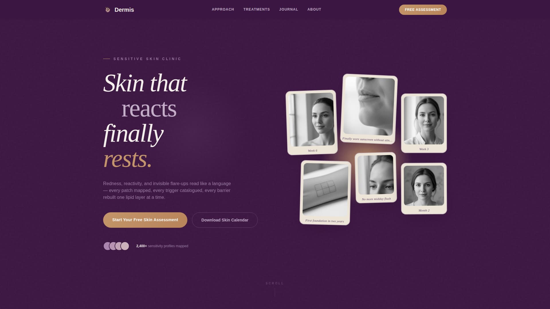 Sensitive Skin Beauty Booking Website Template