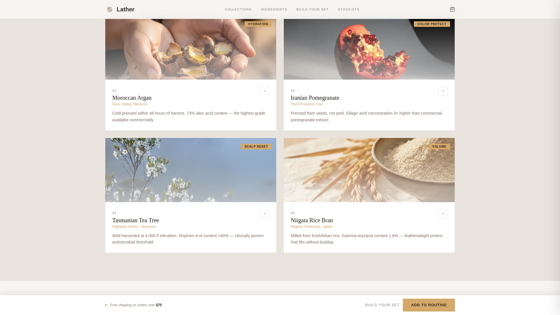 Hair Care Brand & Product Blog Website Template