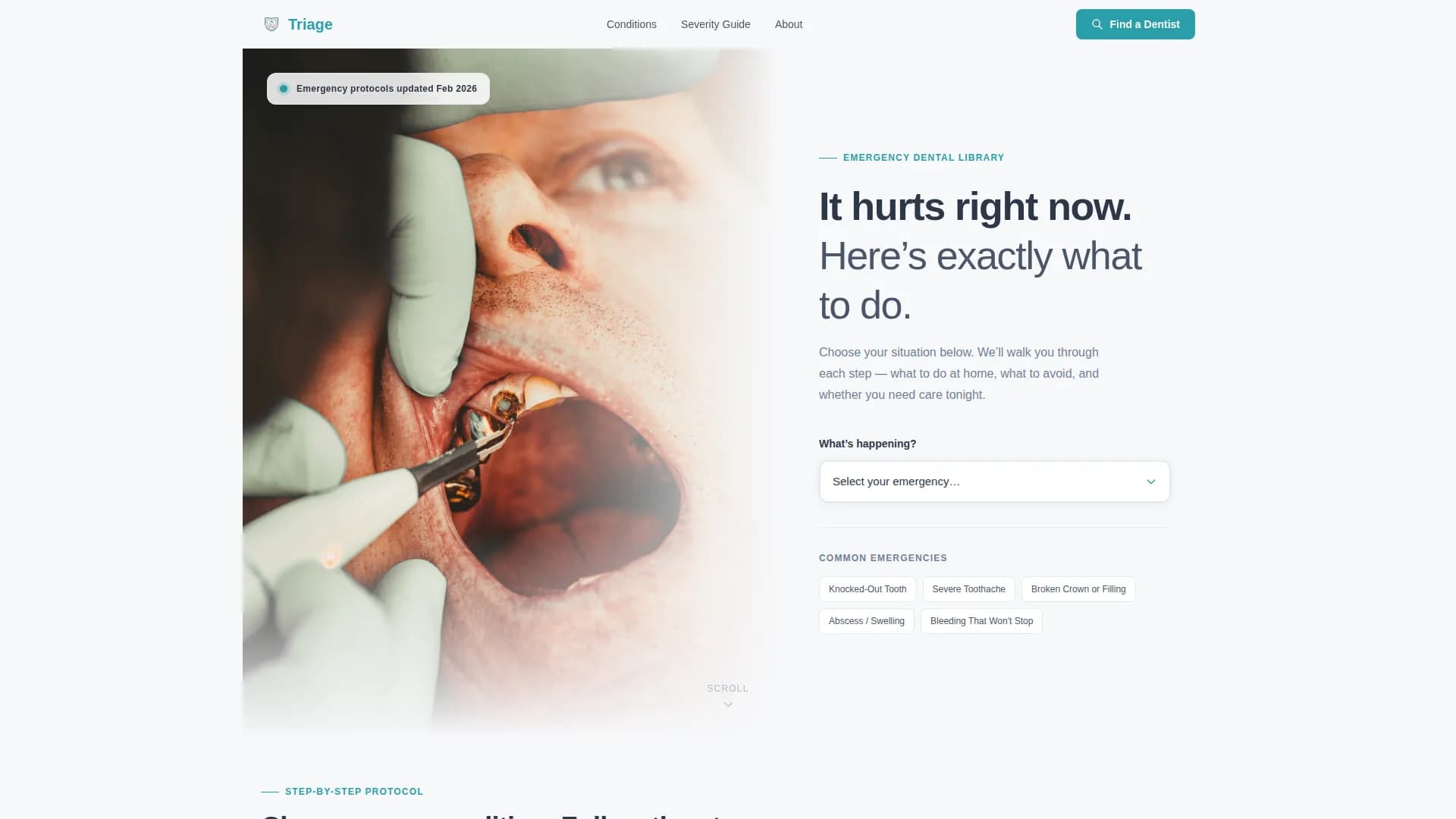 Emergency Dentist Appointment Booking Website Template