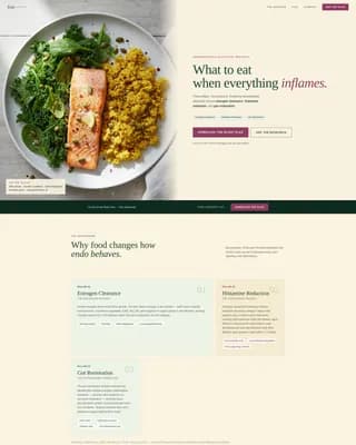 Endometriosis Care FAQ Website Template