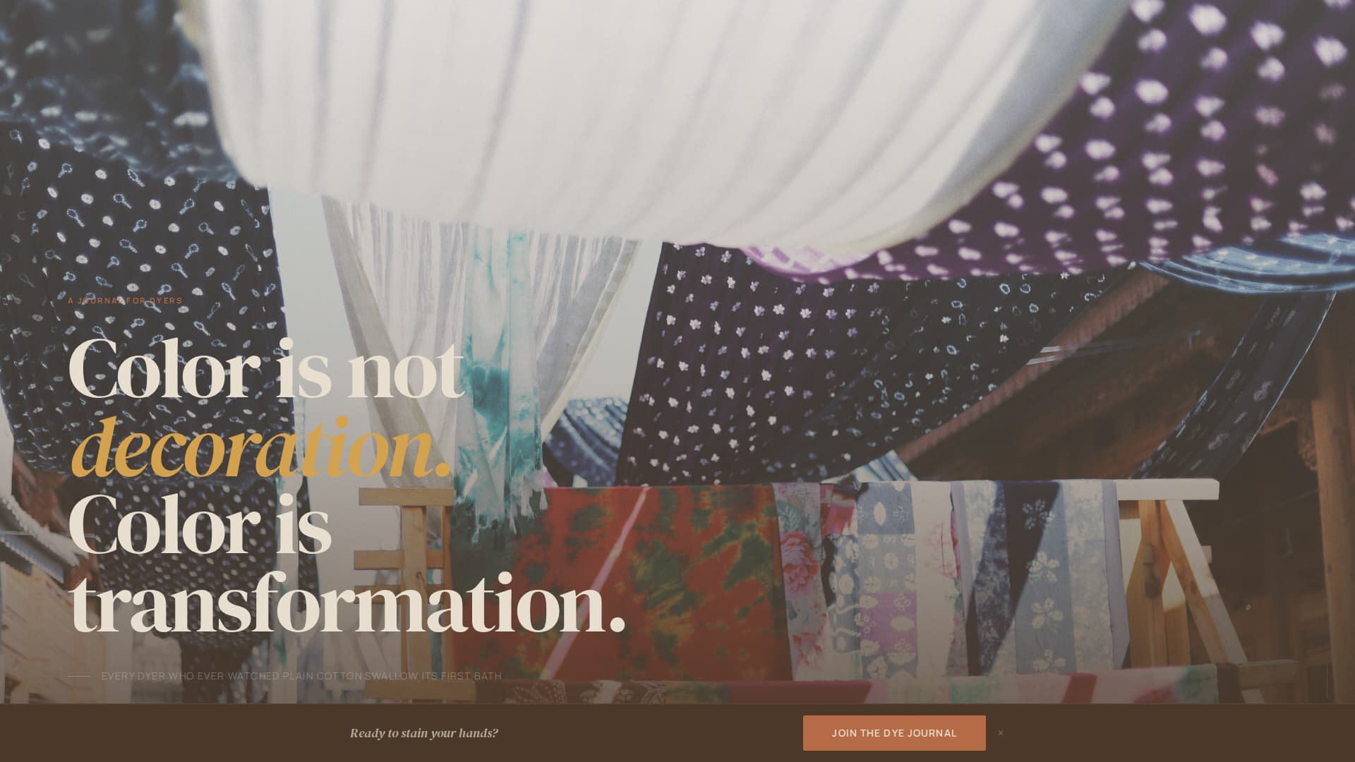 Complete Hobby & Passion Content Portfolio & Case Study Website Template