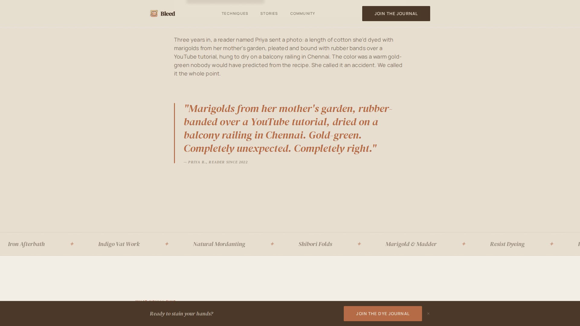 Complete Hobby & Passion Content Portfolio & Case Study Website Template