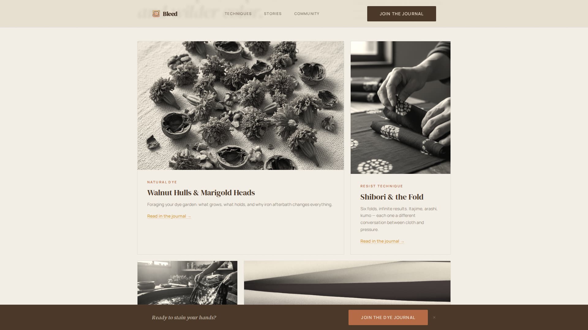 Complete Hobby & Passion Content Portfolio & Case Study Website Template