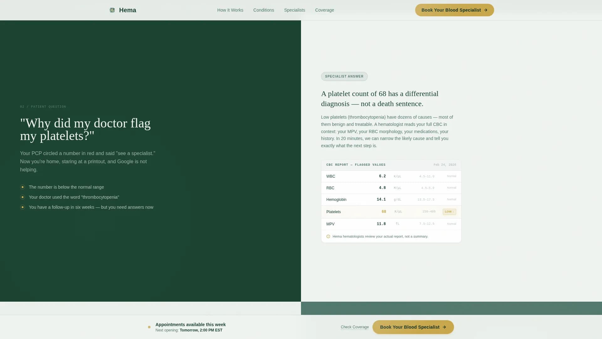 Hema - Hematology Telehealth Landing page Template