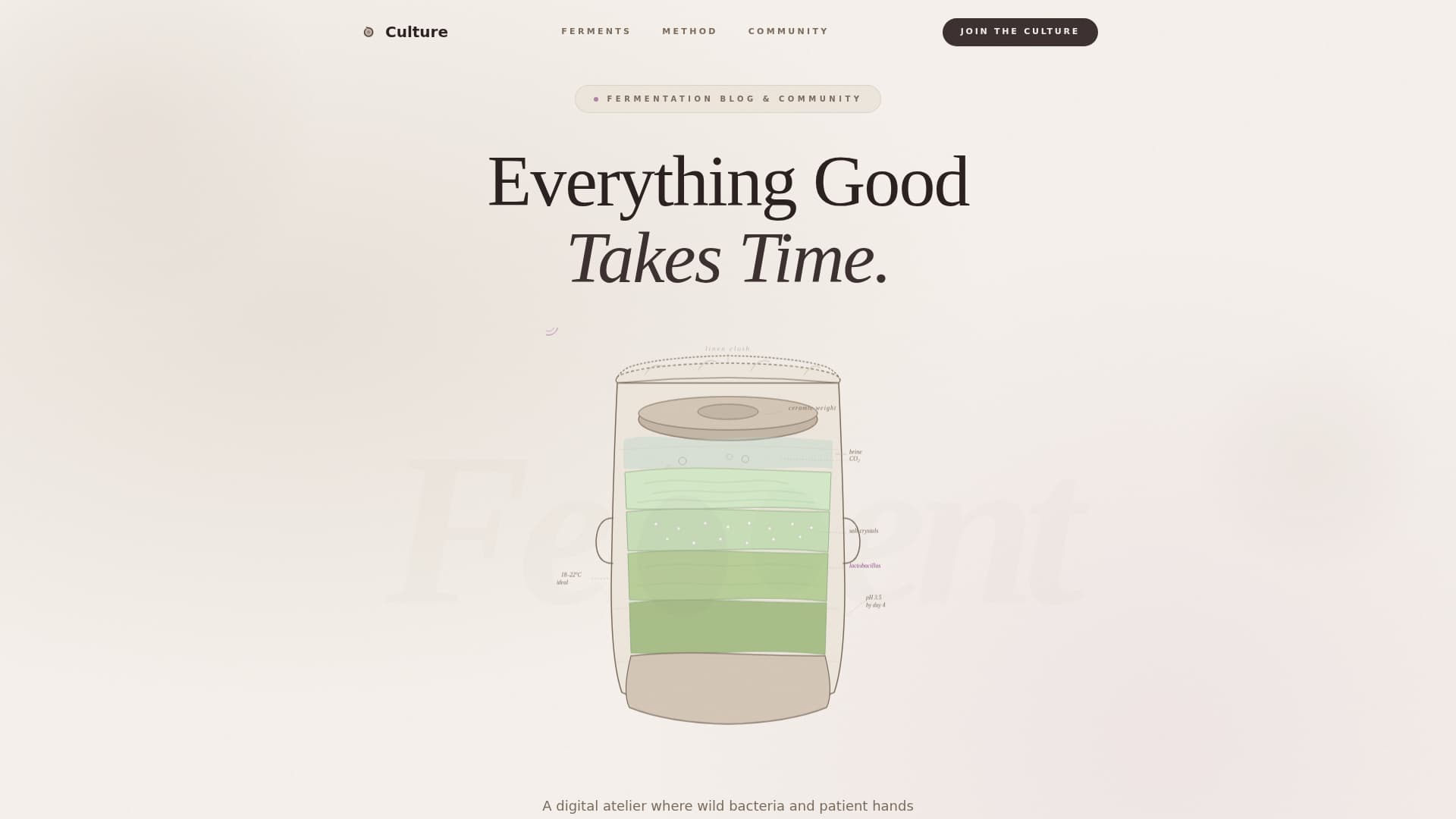 Expert Hobby & Passion Content Portfolio & Case Study Website Template