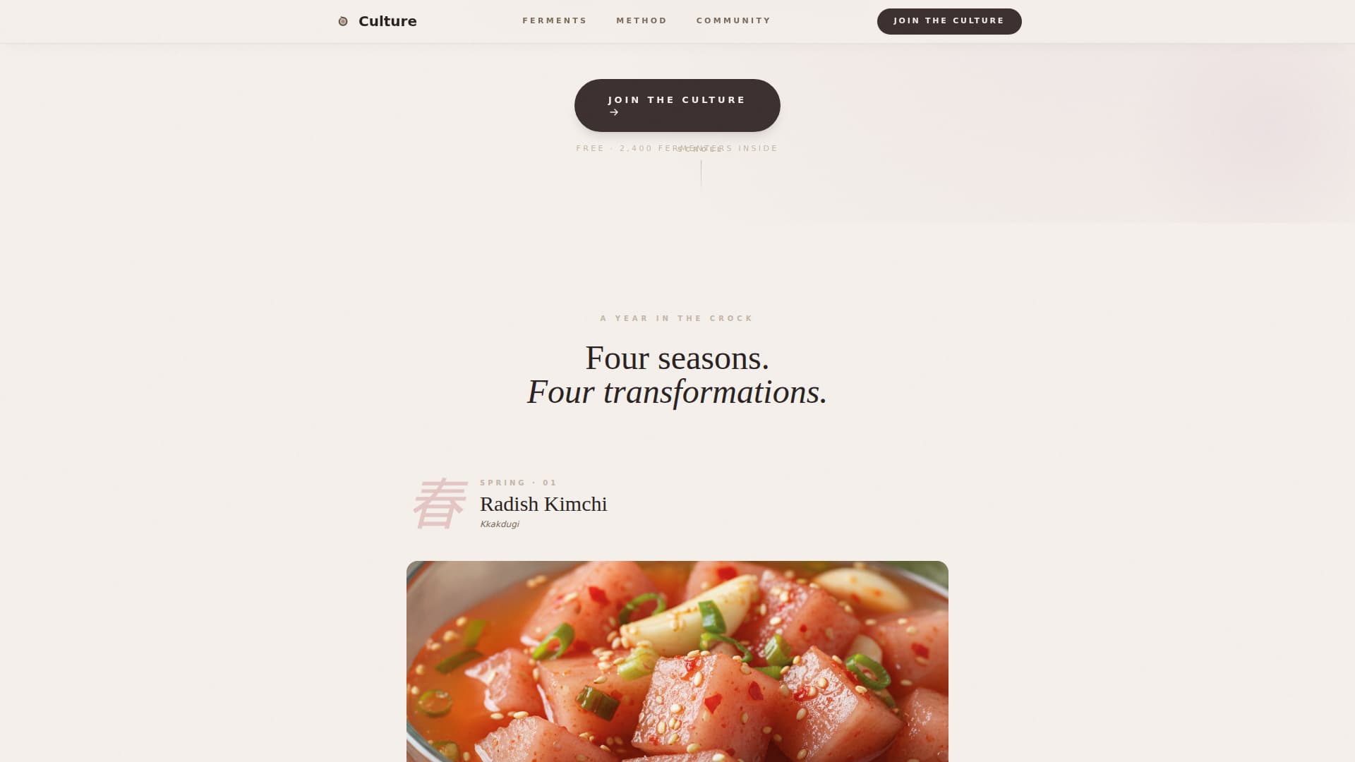 Expert Hobby & Passion Content Portfolio & Case Study Website Template