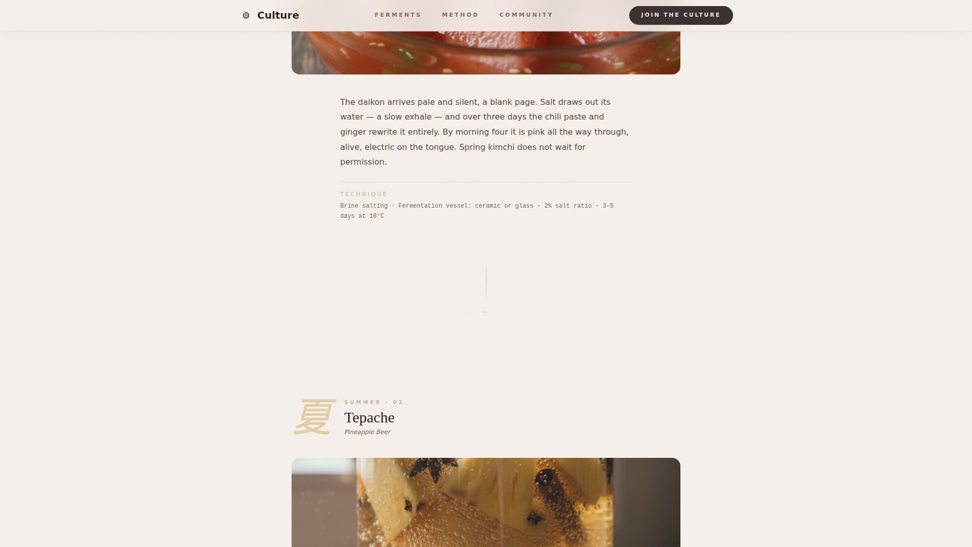 Expert Hobby & Passion Content Portfolio & Case Study Website Template