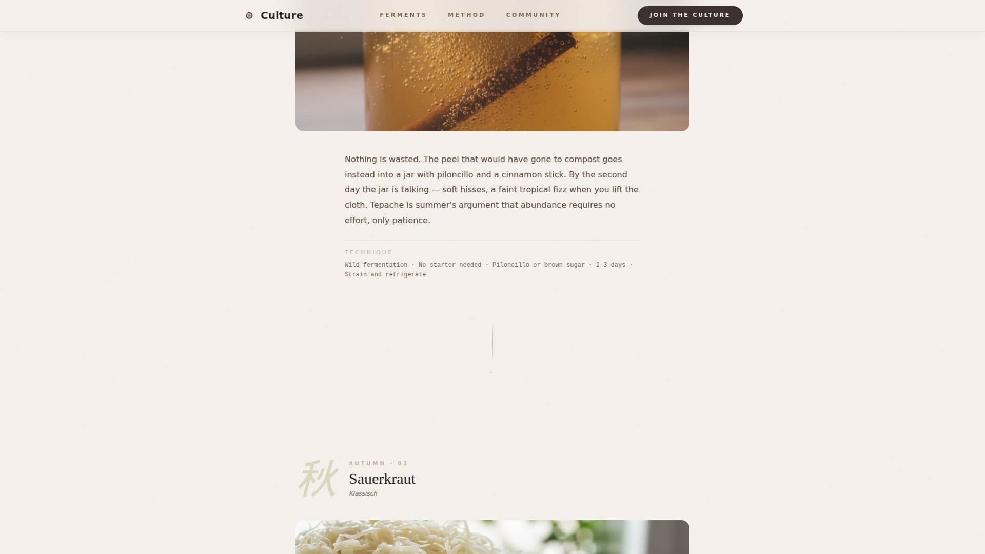 Expert Hobby & Passion Content Portfolio & Case Study Website Template