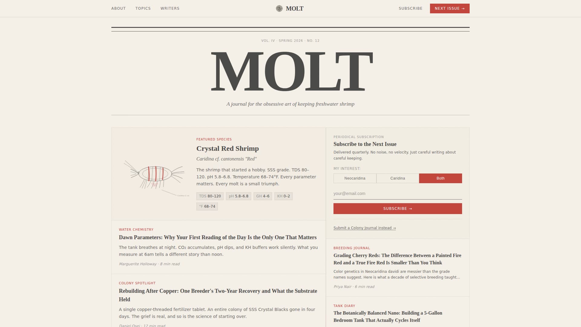 Local Hobby & Passion Content Professional Website Template