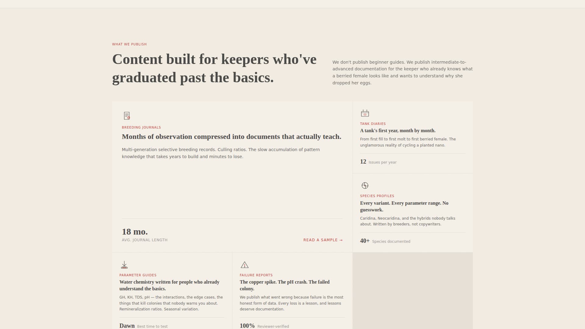 Local Hobby & Passion Content Professional Website Template