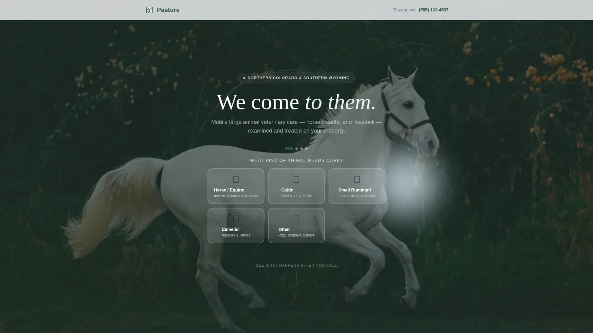 Veterinary & Animal Hospital Booking Website Template