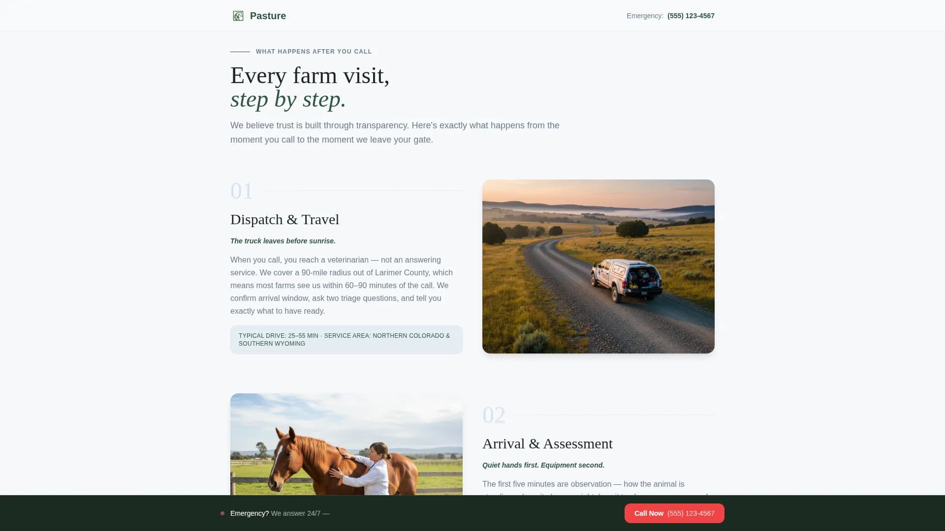 Veterinary & Animal Hospital Booking Website Template