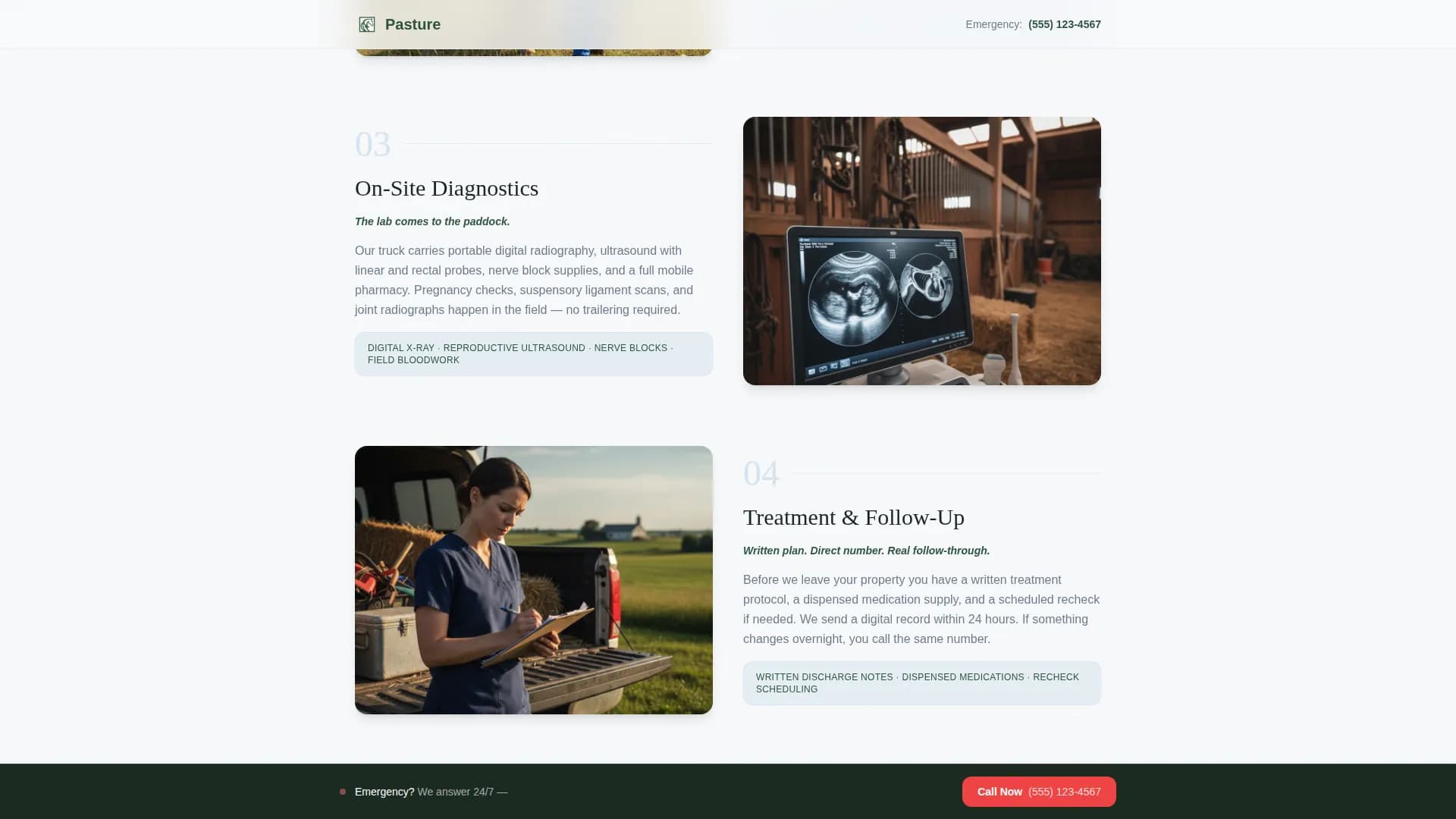 Veterinary & Animal Hospital Booking Website Template