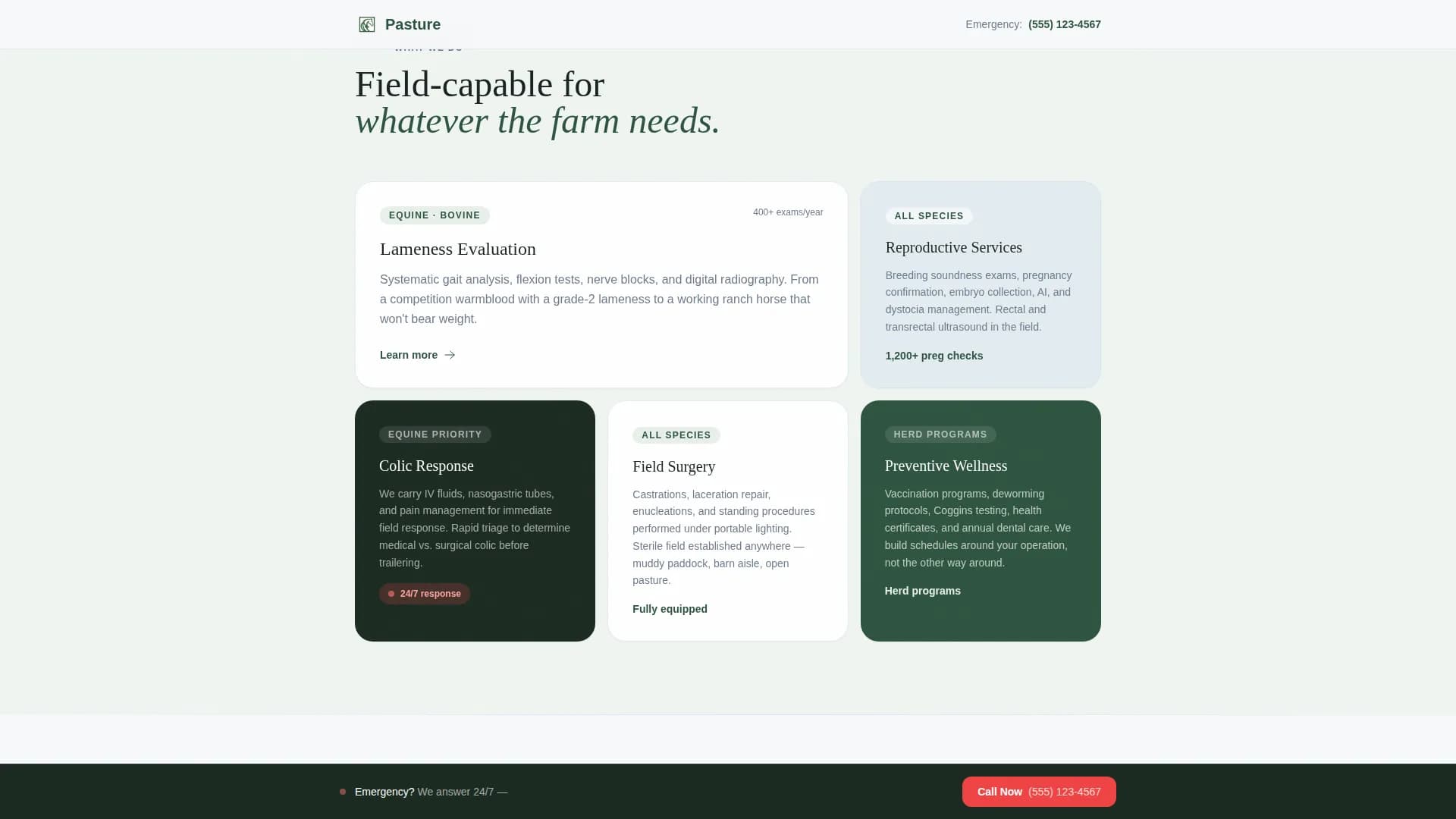 Veterinary & Animal Hospital Booking Website Template
