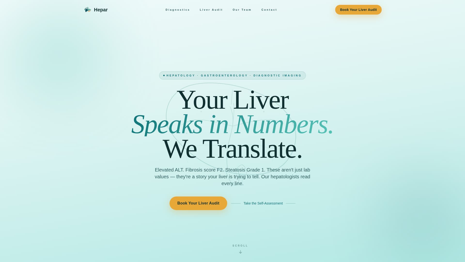 Liver Disease Care Booking Website Template