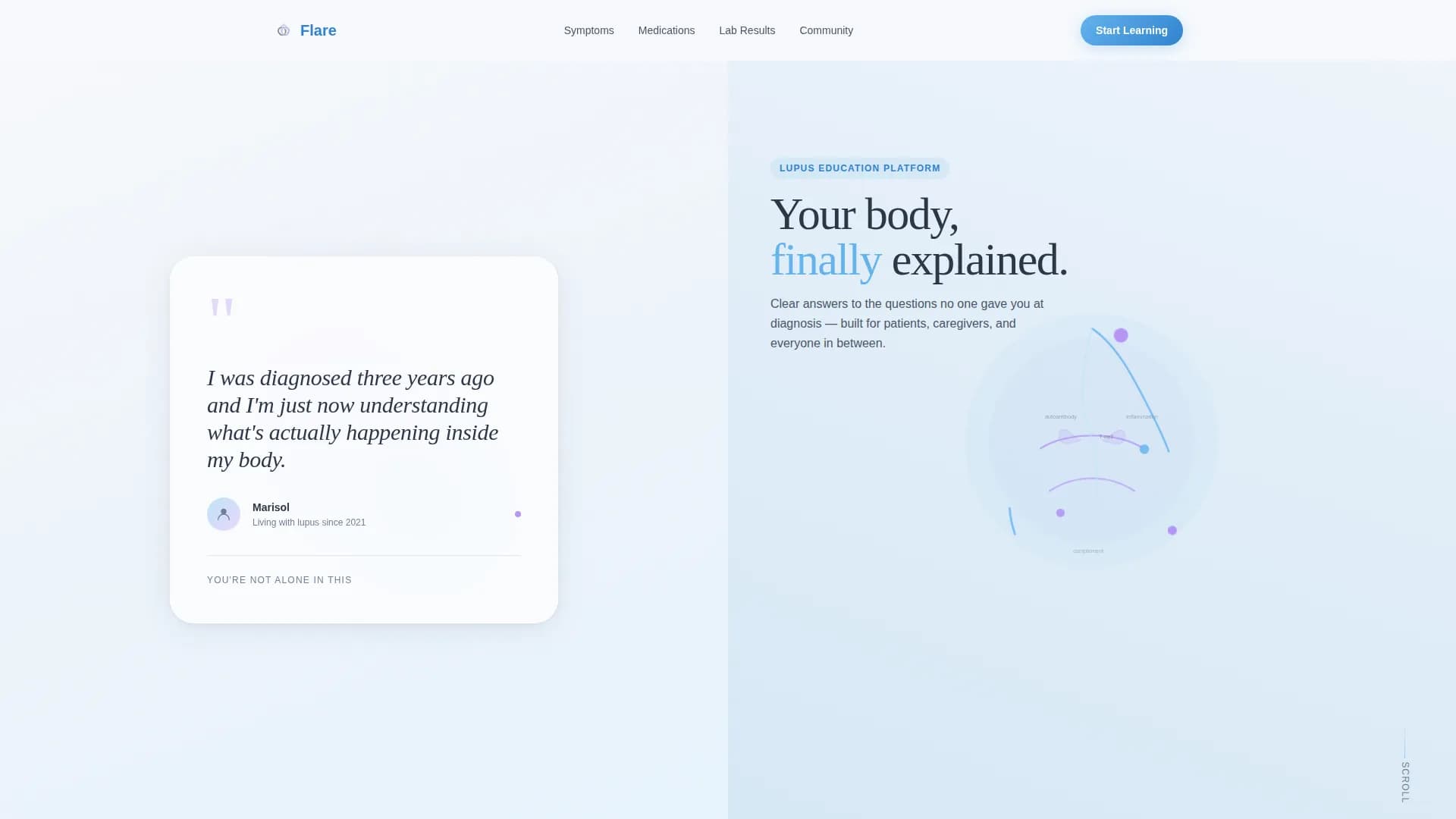 Lupus Care Education Website Template