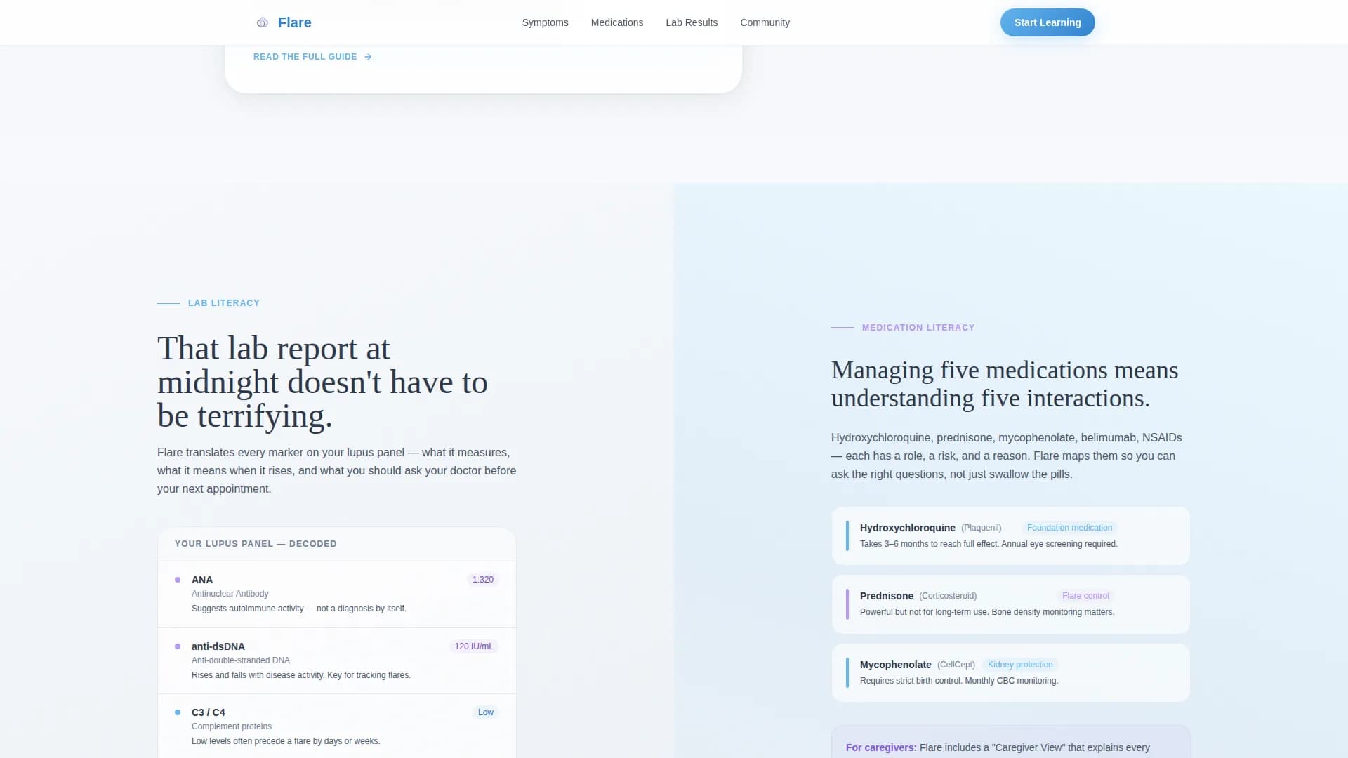 Lupus Care Education Website Template