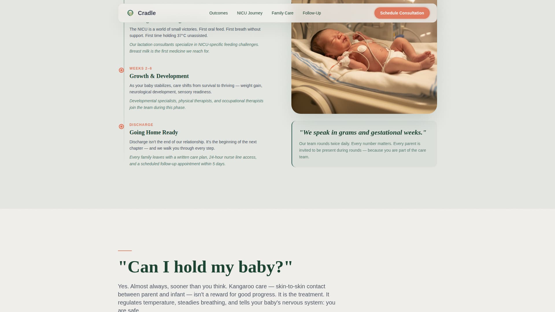 Neonatology Medicine FAQ Website Template