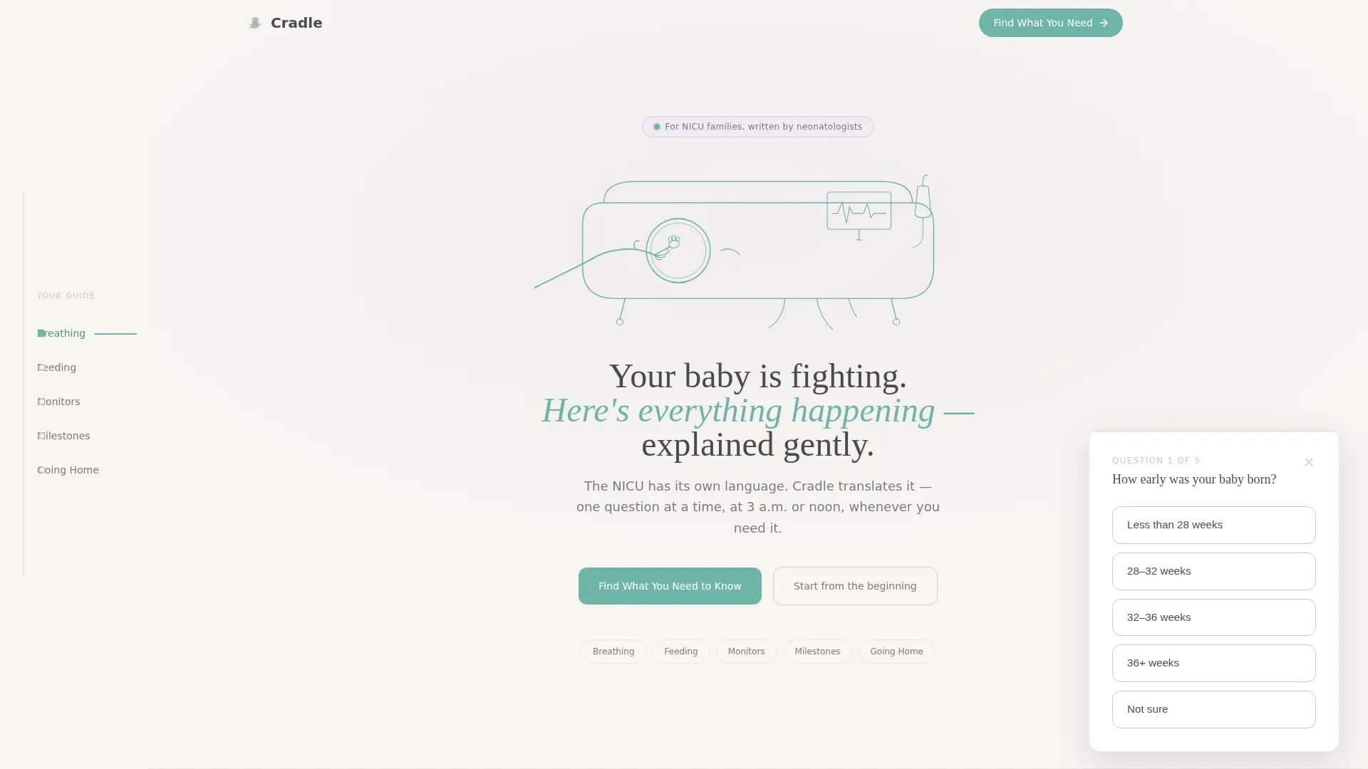 Neonatology Medicine Education Website Template
