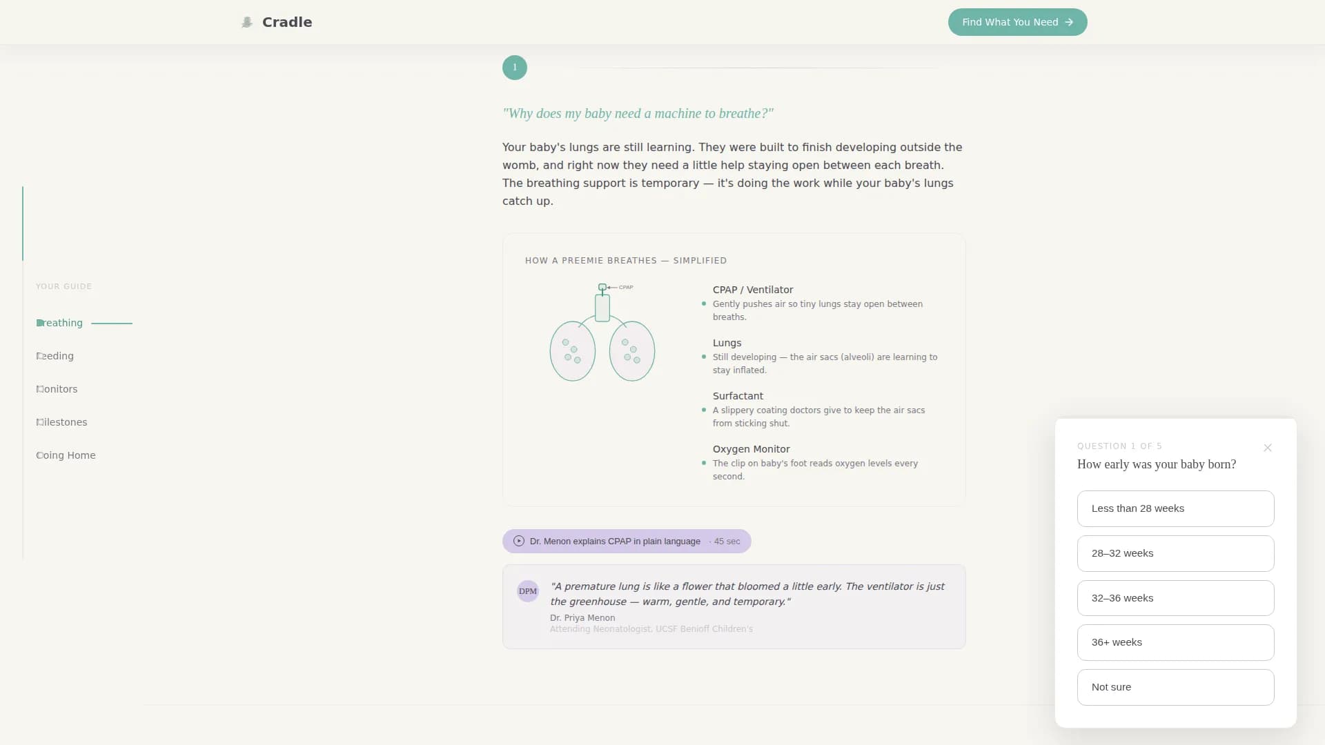 Neonatology Medicine Education Website Template