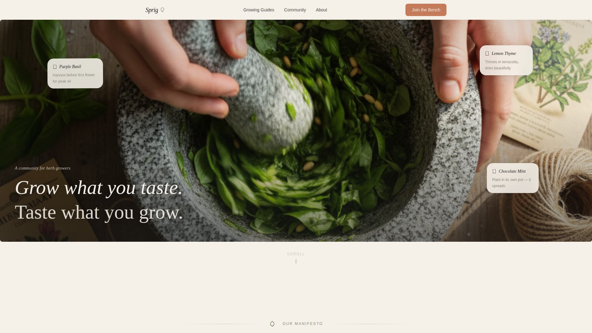 Hobby & Passion Content Blog & Content Website Template