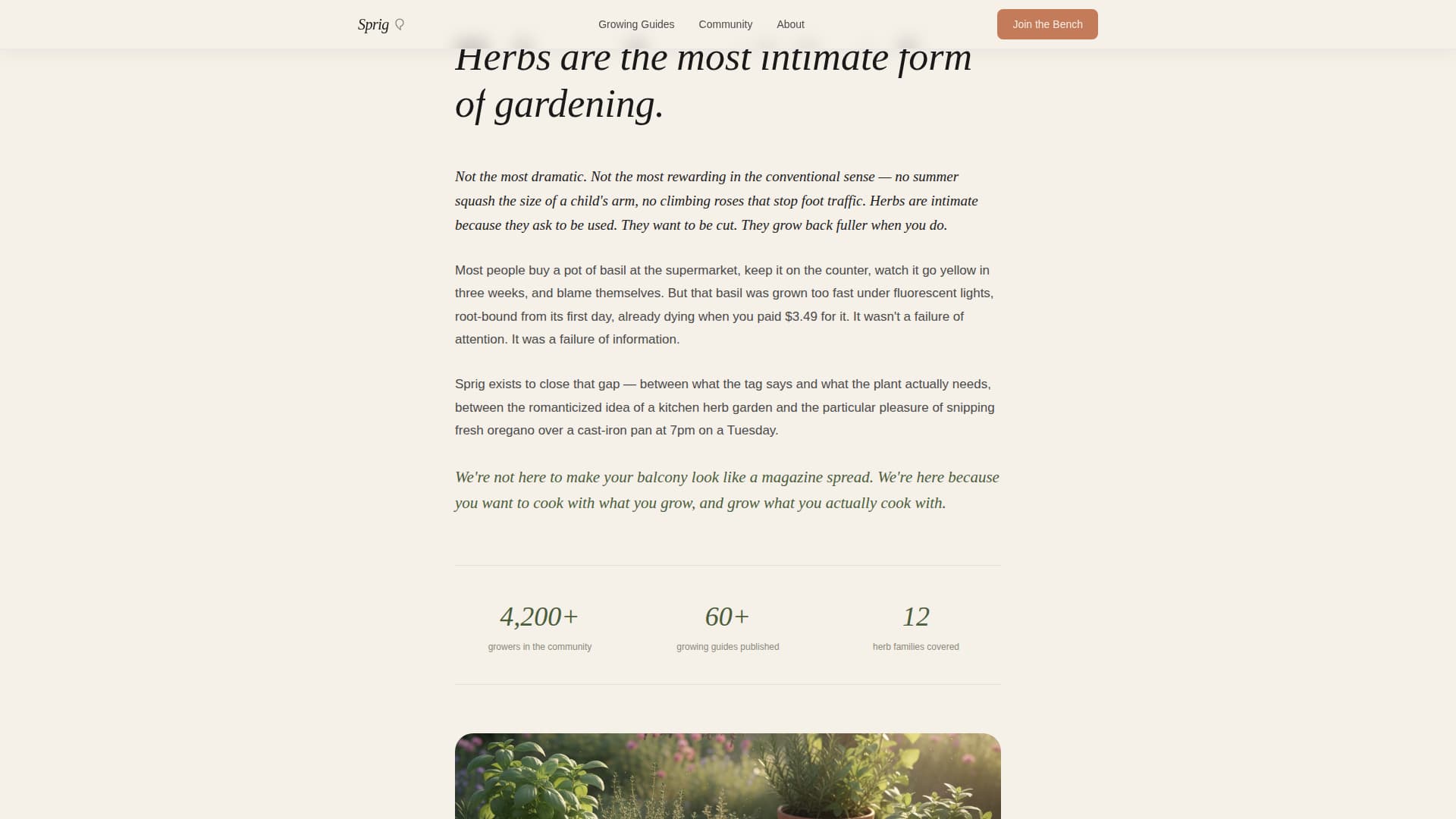Hobby & Passion Content Blog & Content Website Template