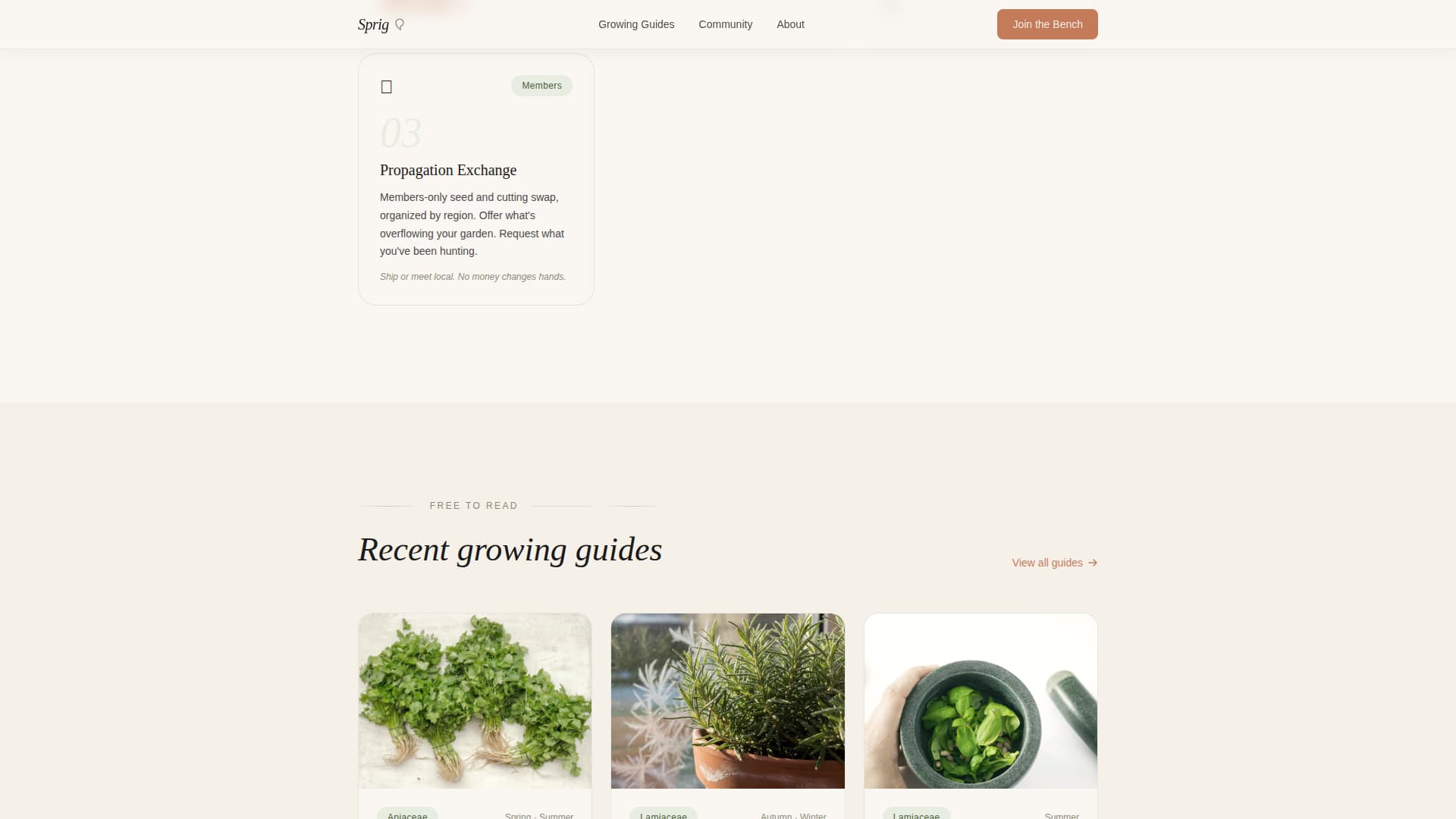 Hobby & Passion Content Blog & Content Website Template