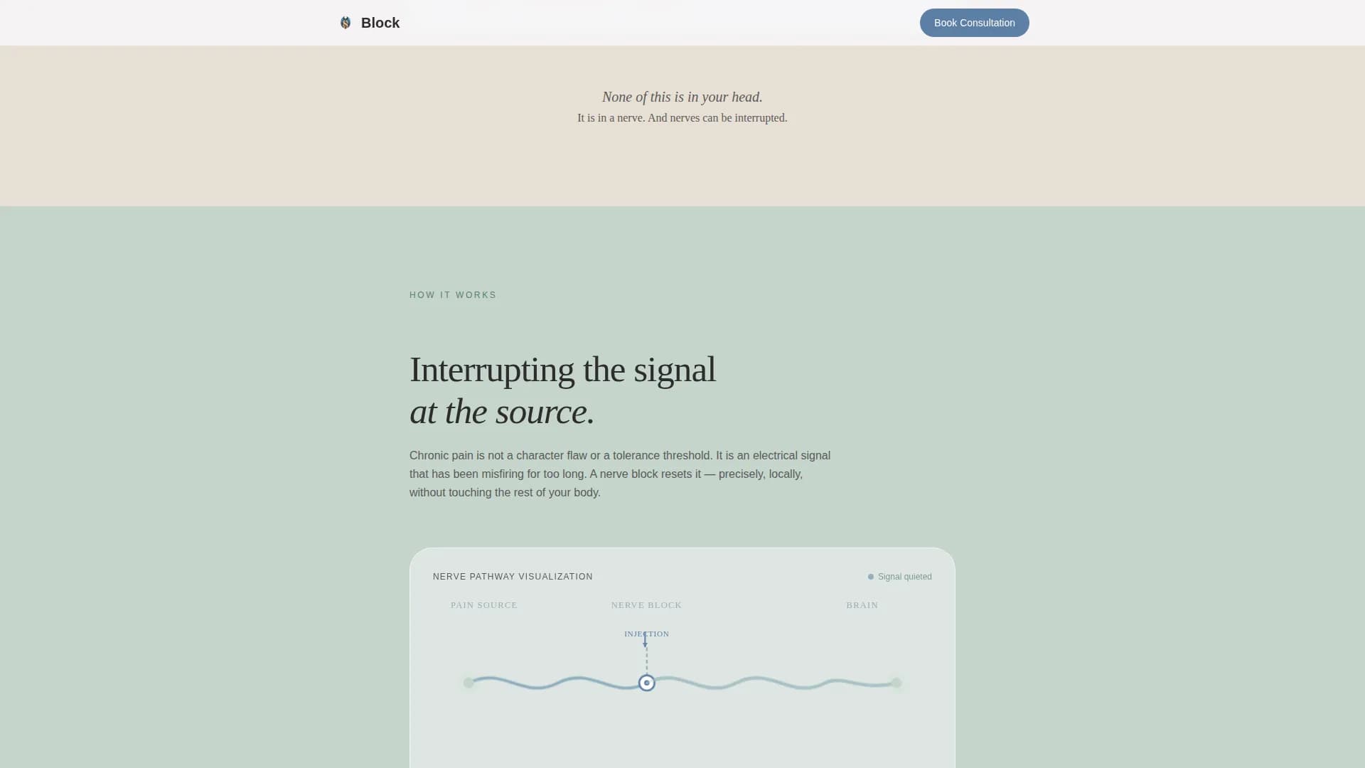 Pain Management Booking Website Template