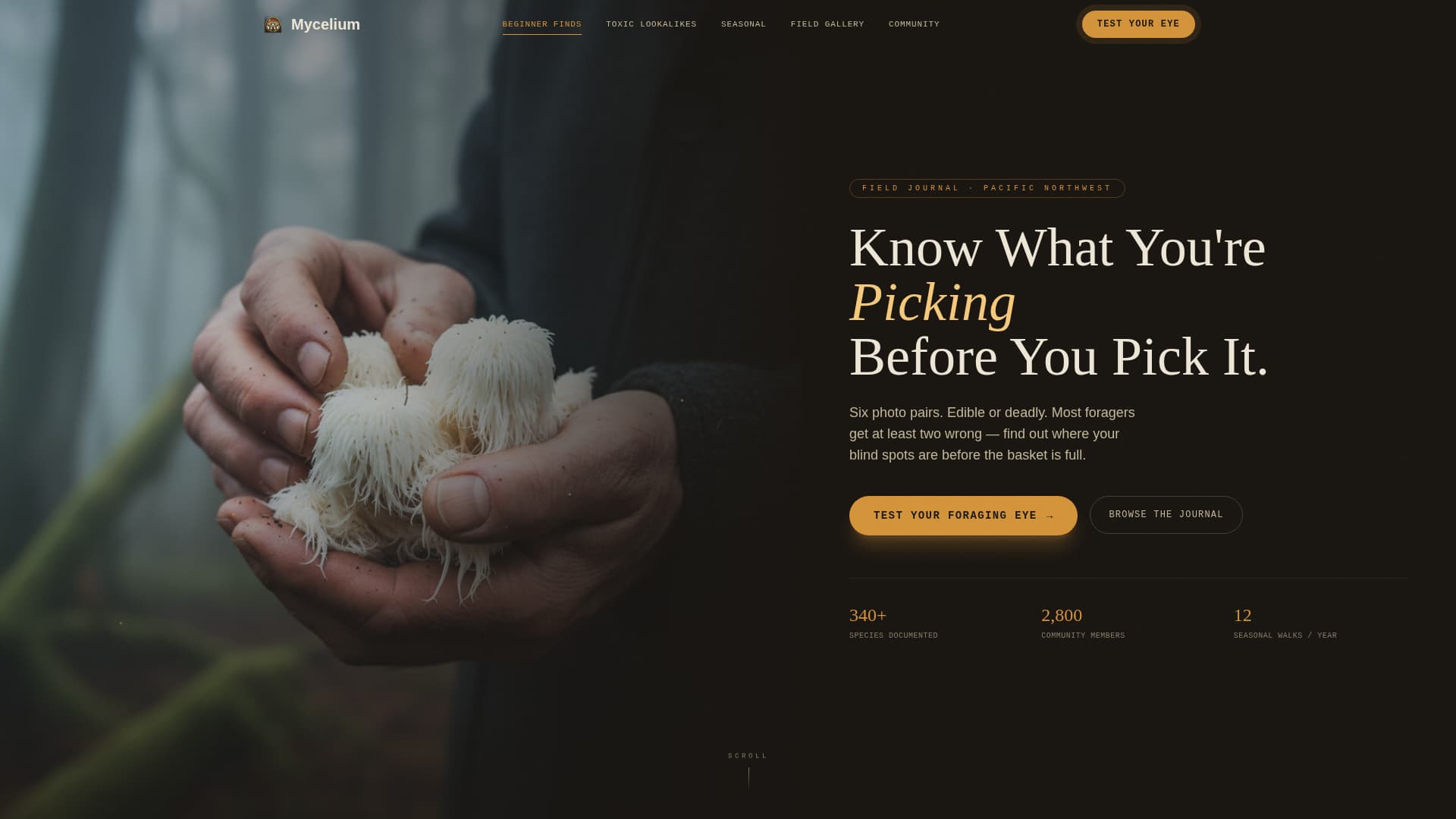 Hobby & Passion Content Blog & Content Website Template