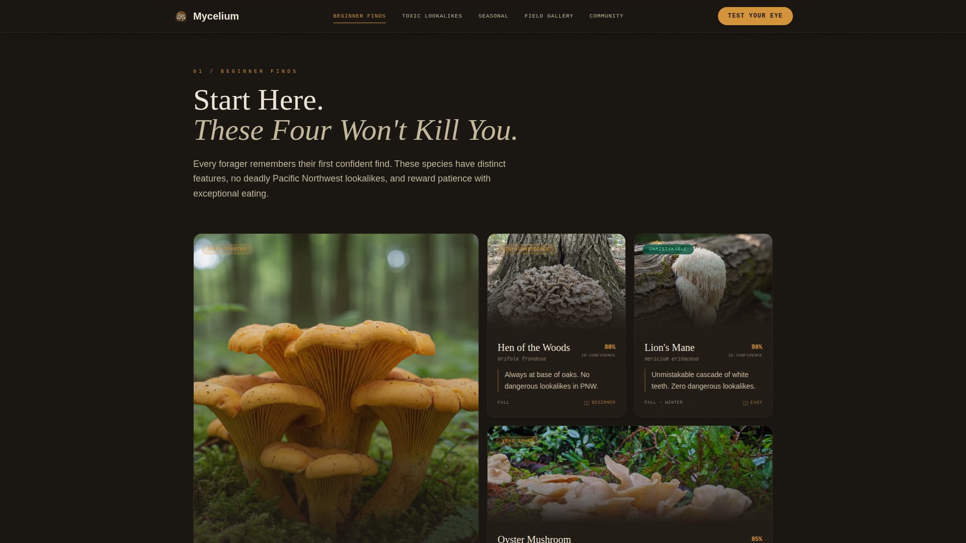 Hobby & Passion Content Blog & Content Website Template