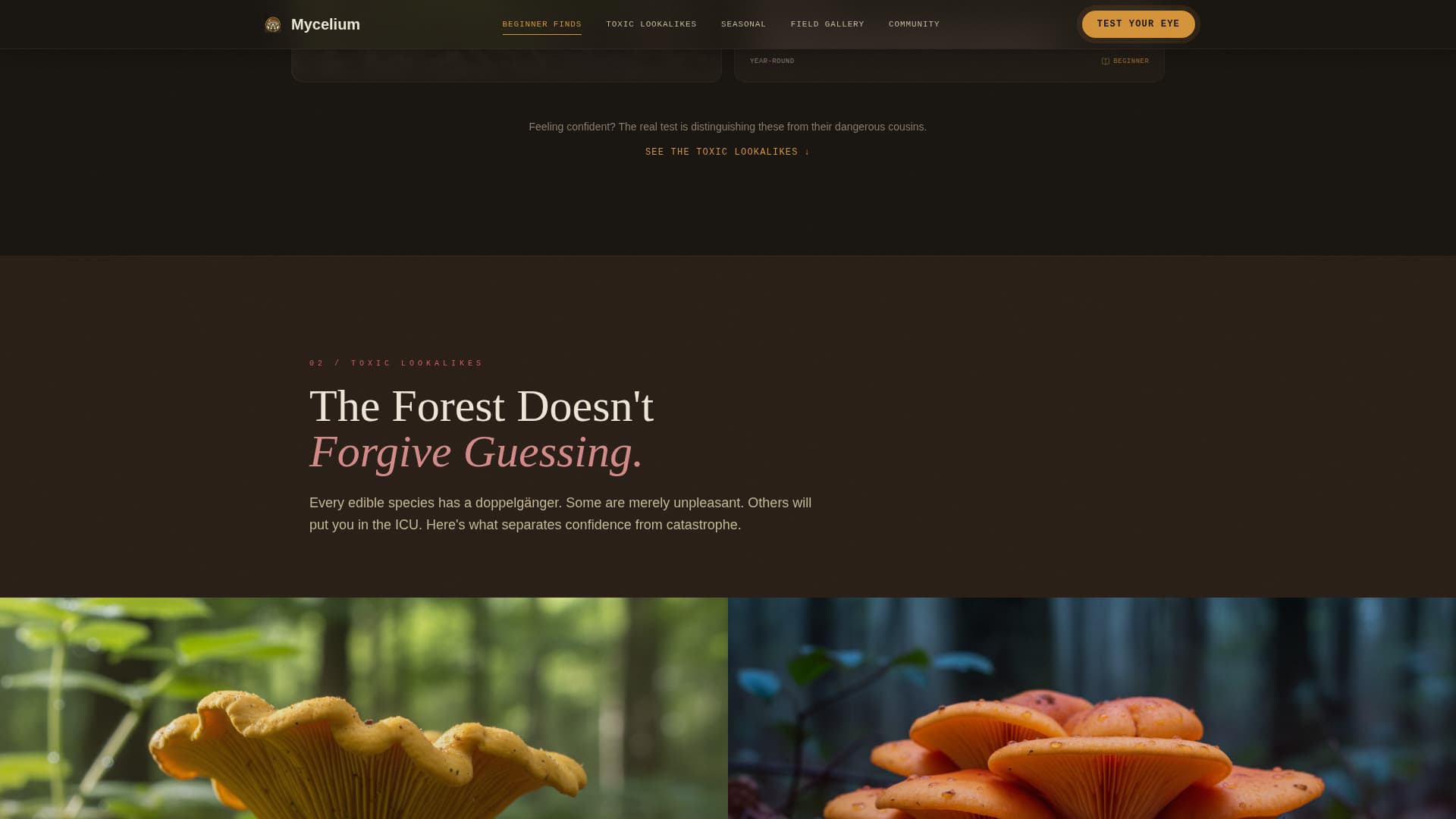 Hobby & Passion Content Blog & Content Website Template
