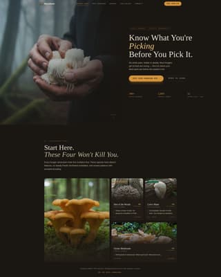 Hobby & Passion Content Blog & Content Website Template