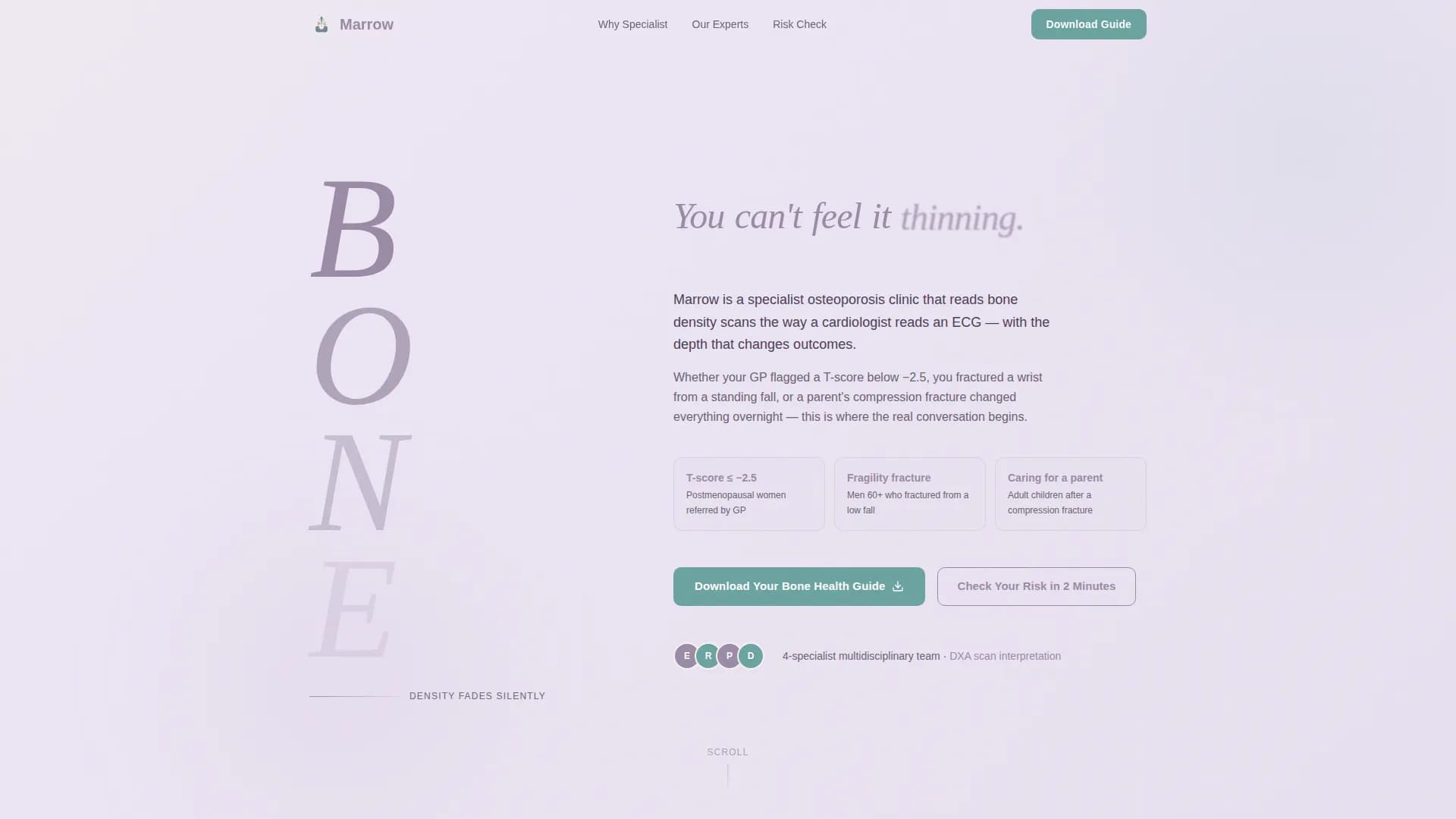 Osteoporosis Care Professional Website Template