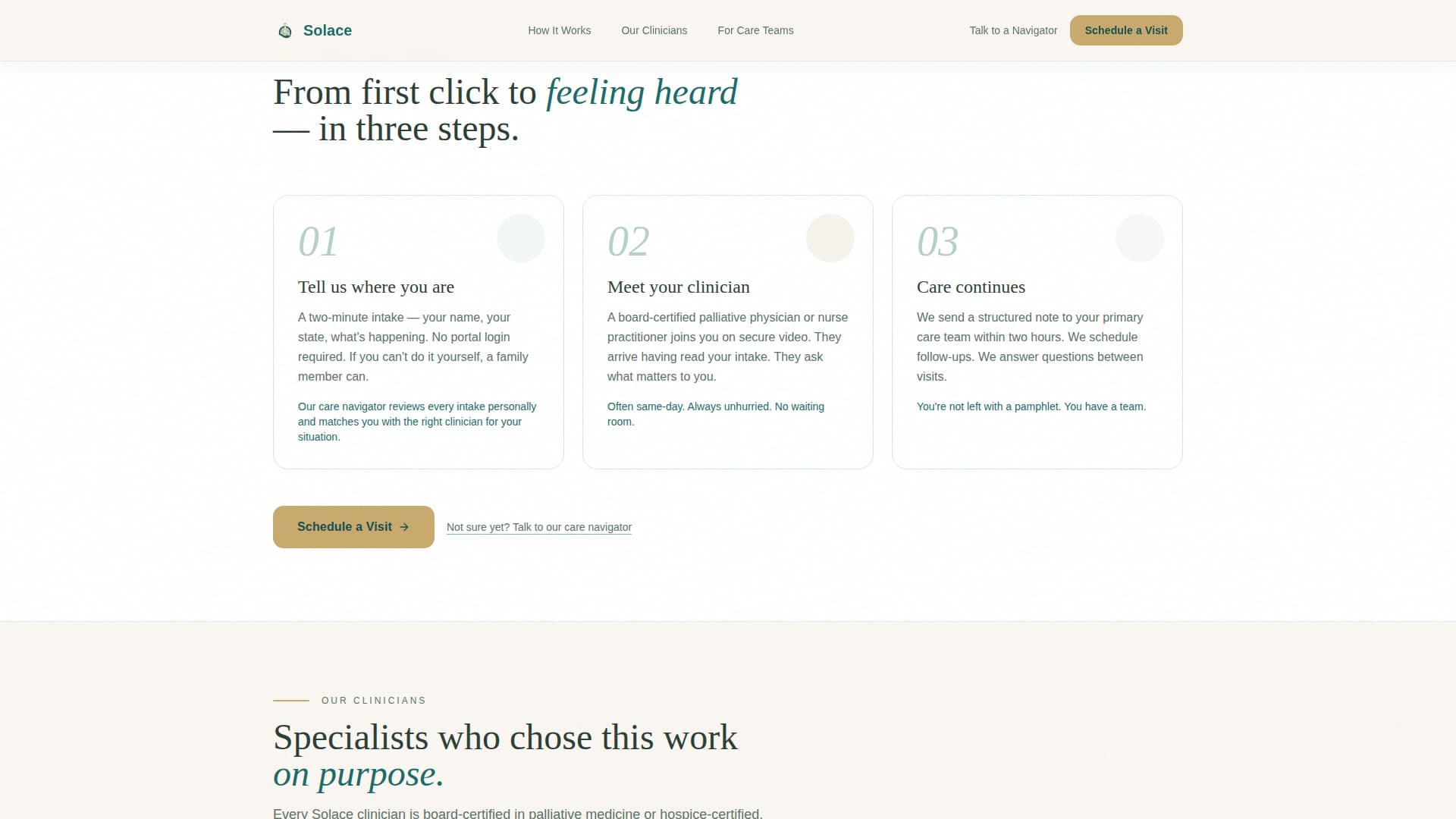 Palliative Care Medicine Booking Website Template