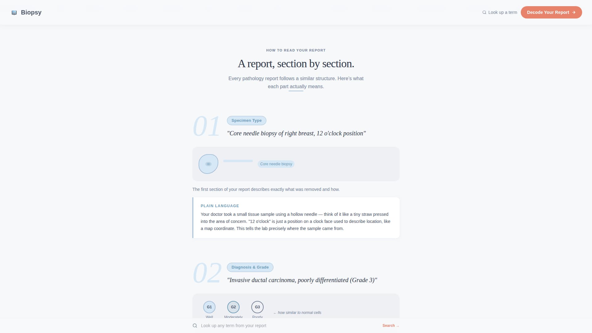 Pathology Medicine Patient Education Website Template